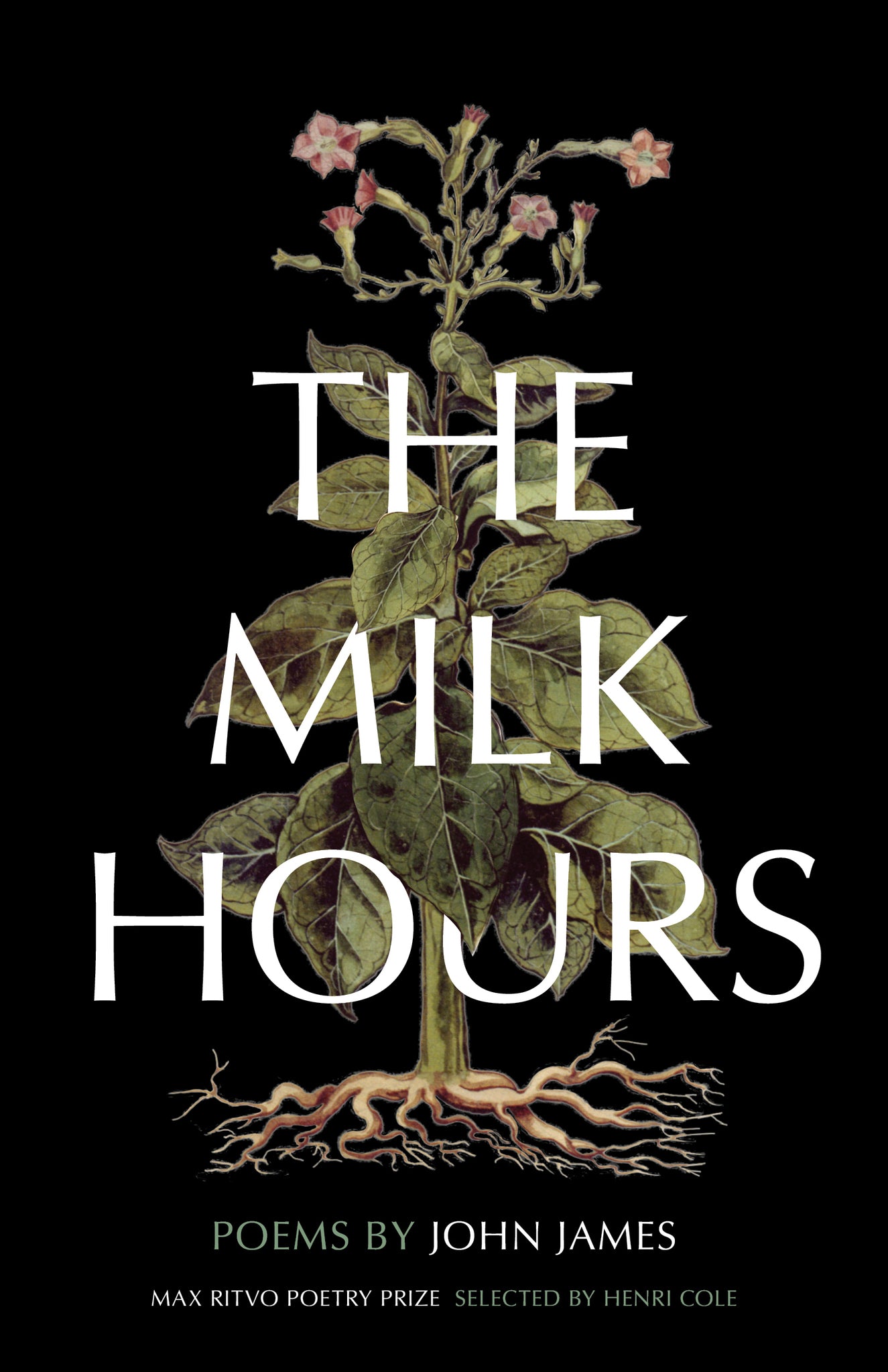 Cover image for The Milk Hours ISBN 9781571315366