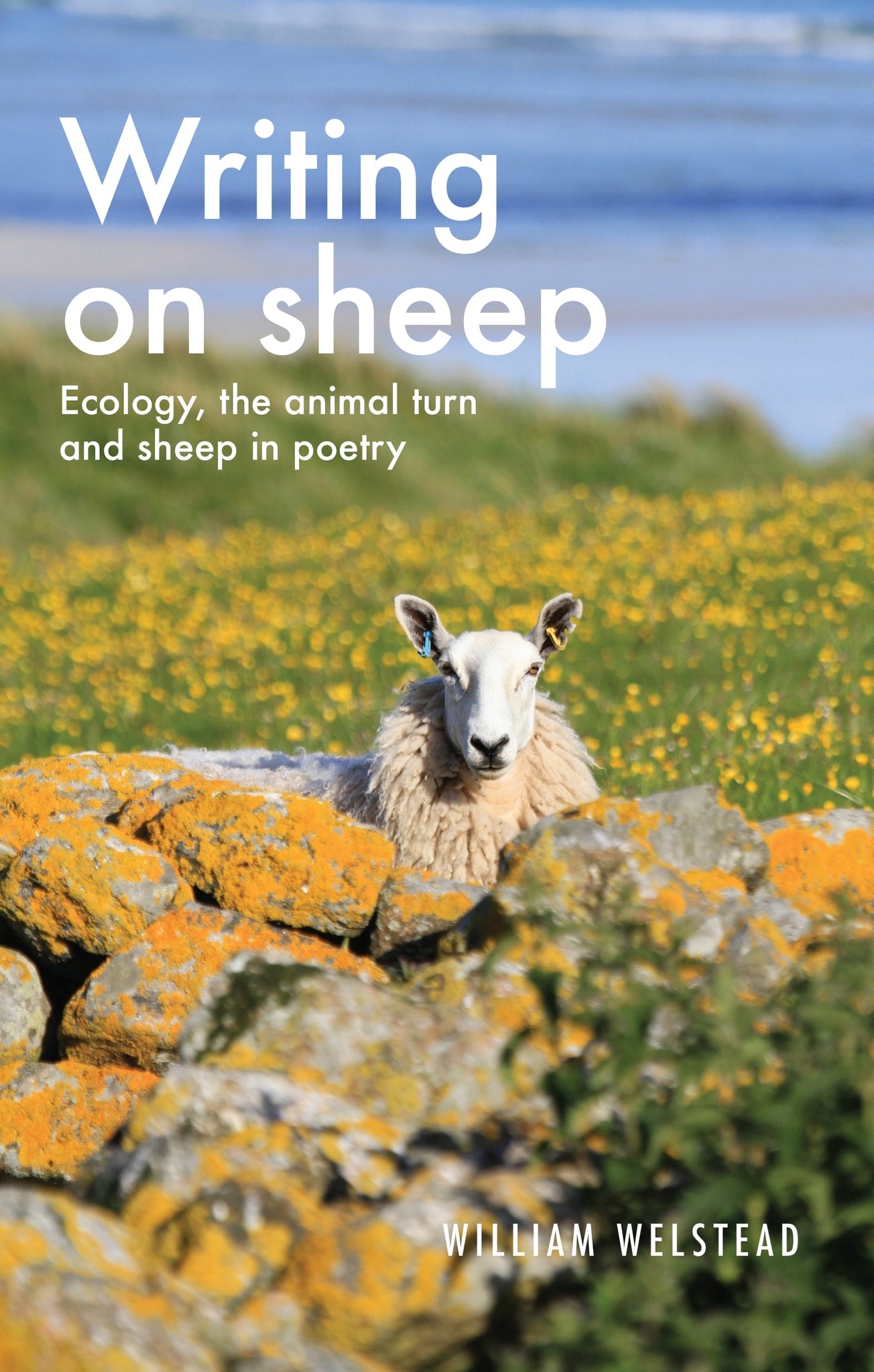 Writing on sheep