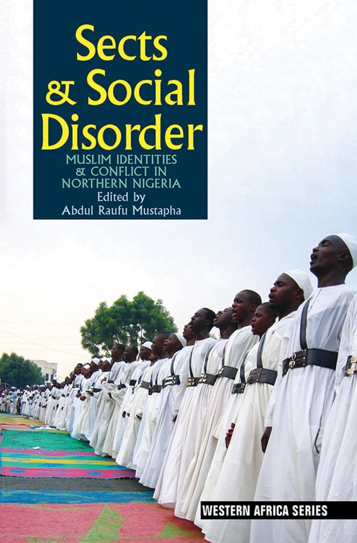 Cover image for Sects & Social Disorder ISBN 9781847011596