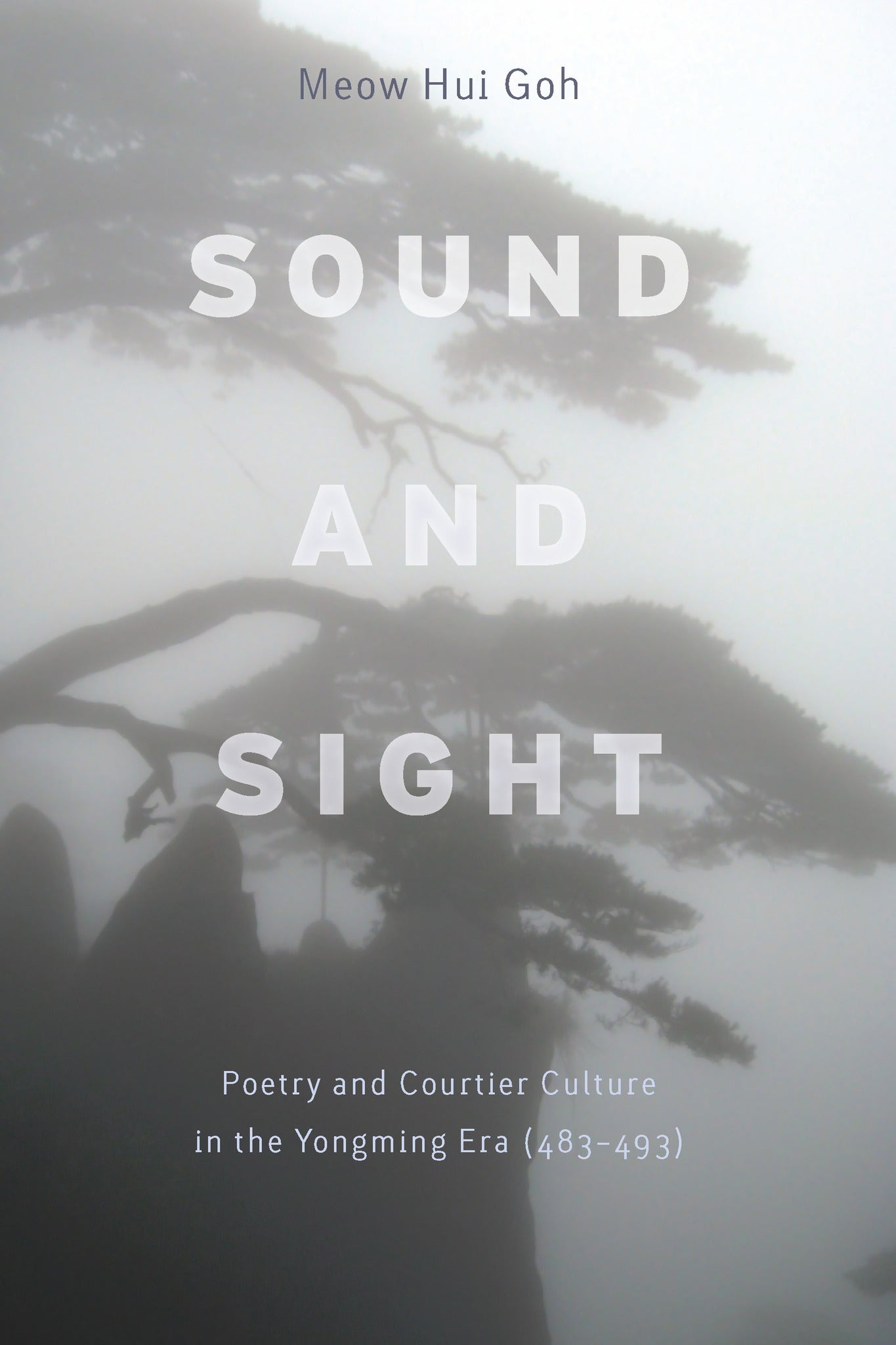 Cover image for Sound and Sight ISBN 9780804768597