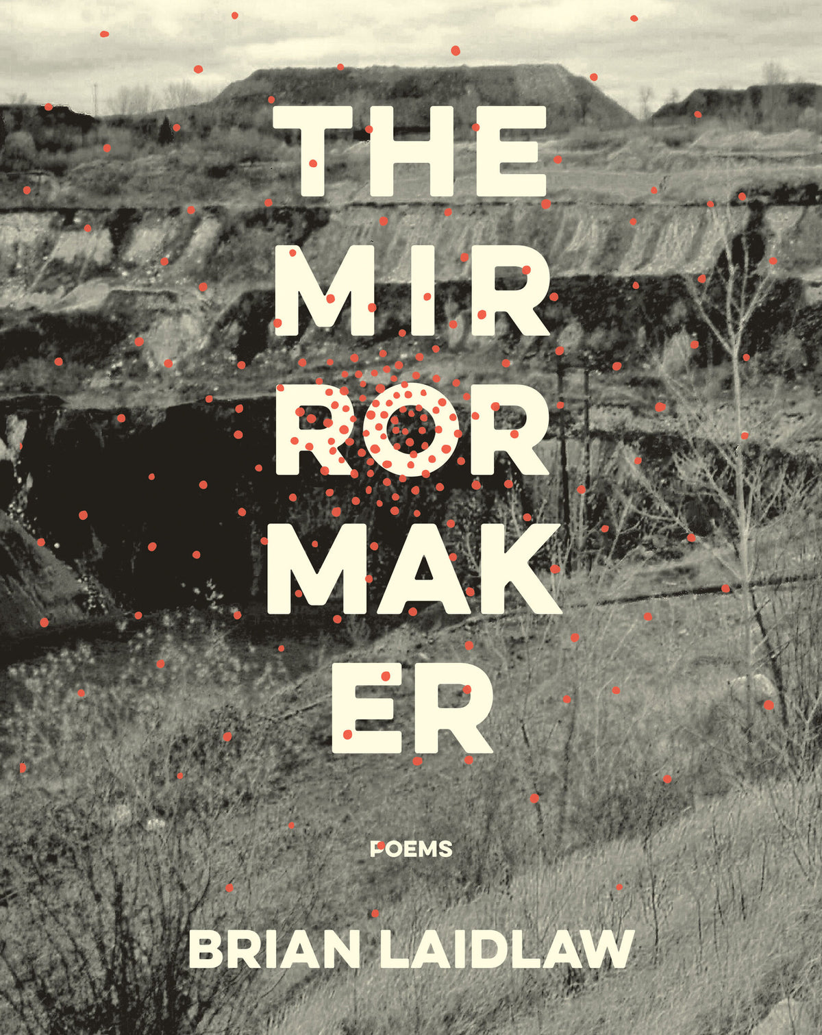 Cover image for The Mirrormaker ISBN 9781571314840