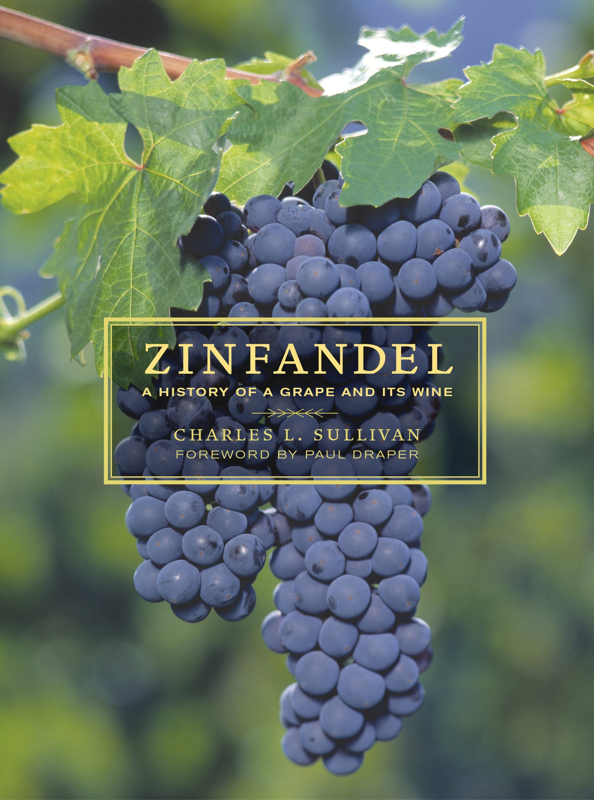 Cover image for Zinfandel ISBN 9780520930520