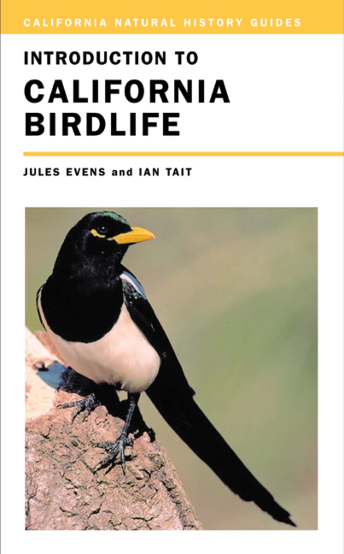 Cover image for Introduction to California Birdlife ISBN 9780520242548