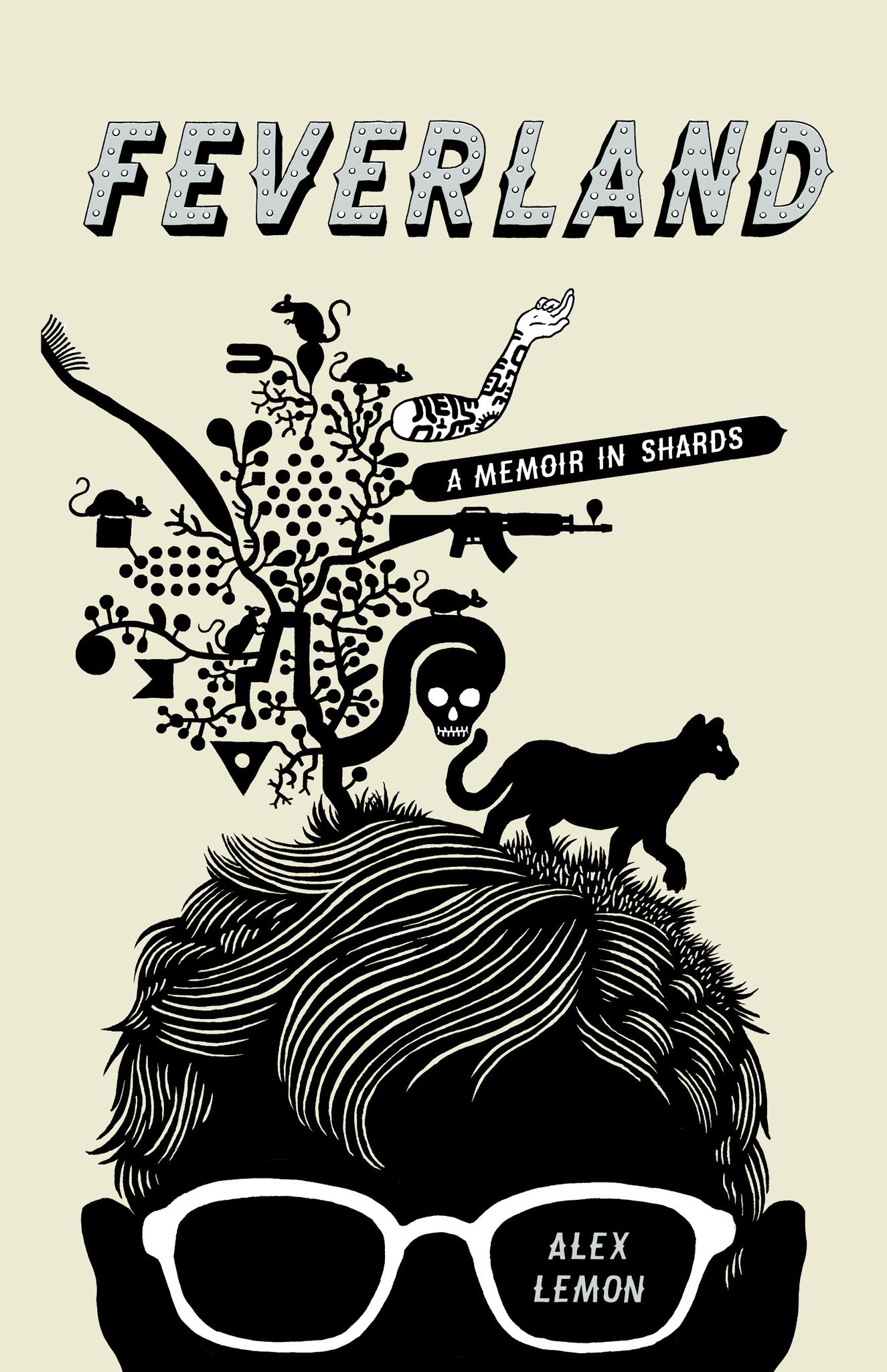 Cover image for Feverland ISBN 9781571313362