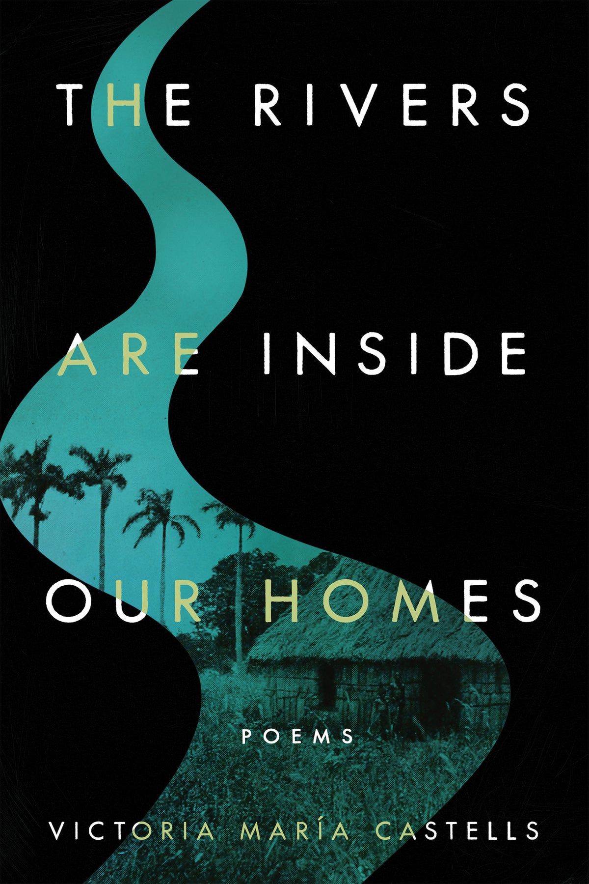 Cover image for The Rivers Are Inside Our Homes ISBN 9780268205676