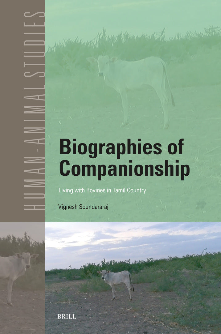 Cover image for Biographies of Companionship: Living with Bovines in Tamil Country ISBN 9789004760509