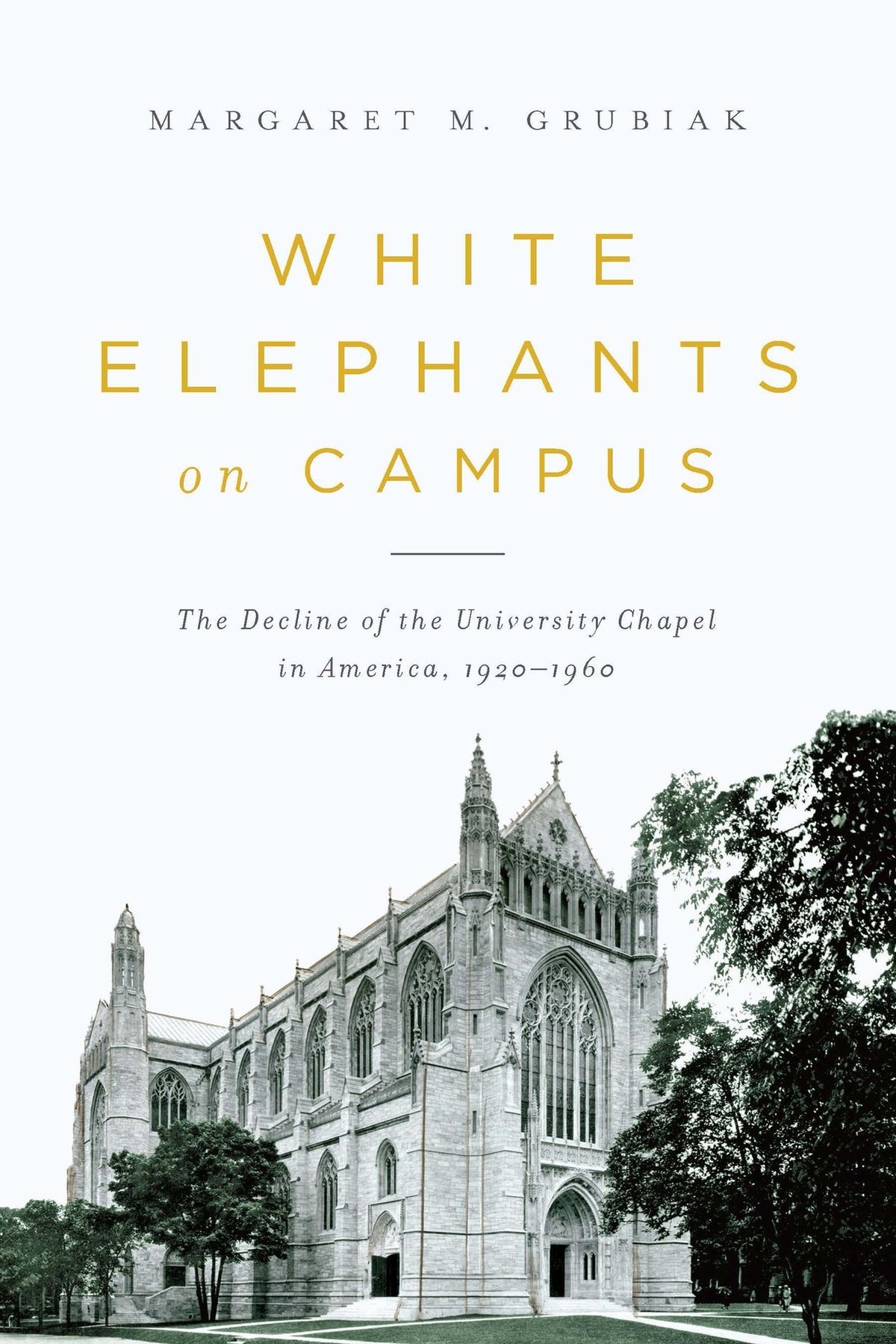 Cover image for White Elephants on Campus ISBN 9780268029876