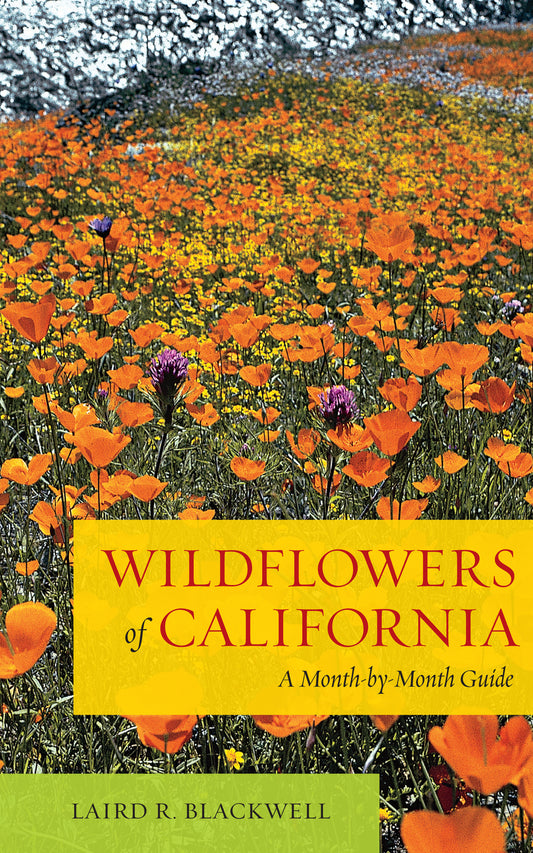 Wildflowers of California