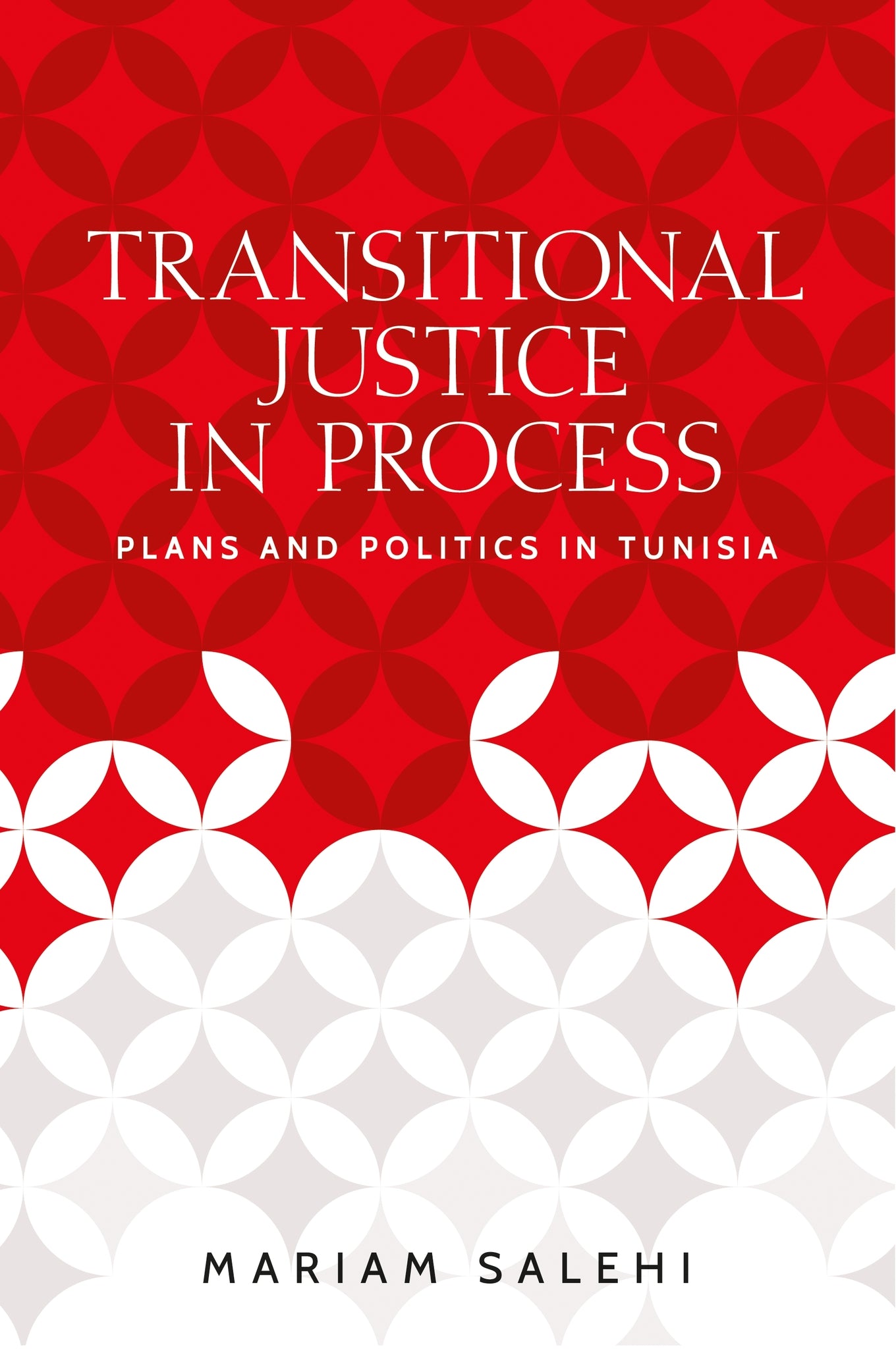 Transitional justice in process