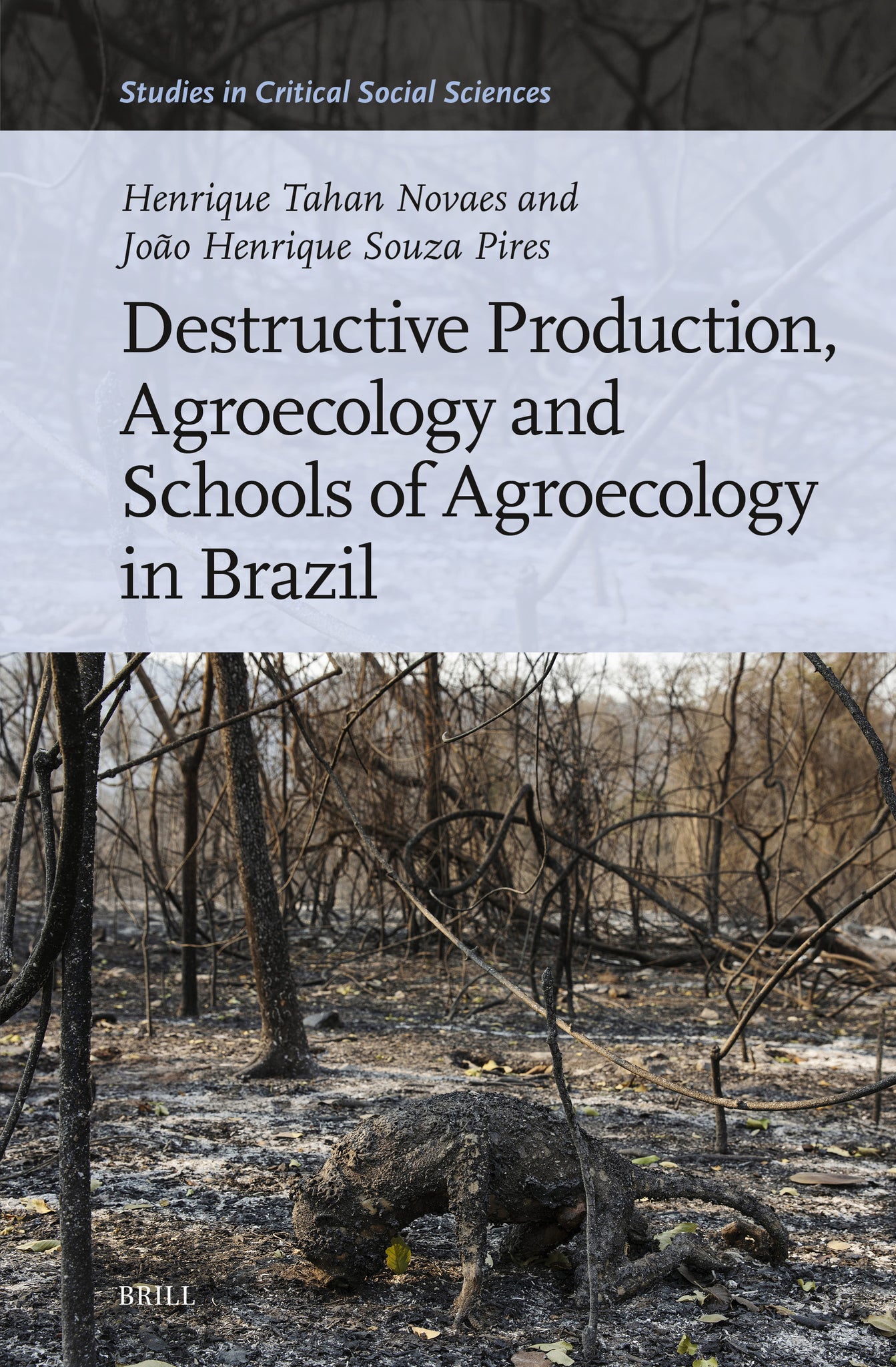 Cover image for Destructive Production, Agroecology and Schools of Agroecology in Brazil ISBN 9789004706422