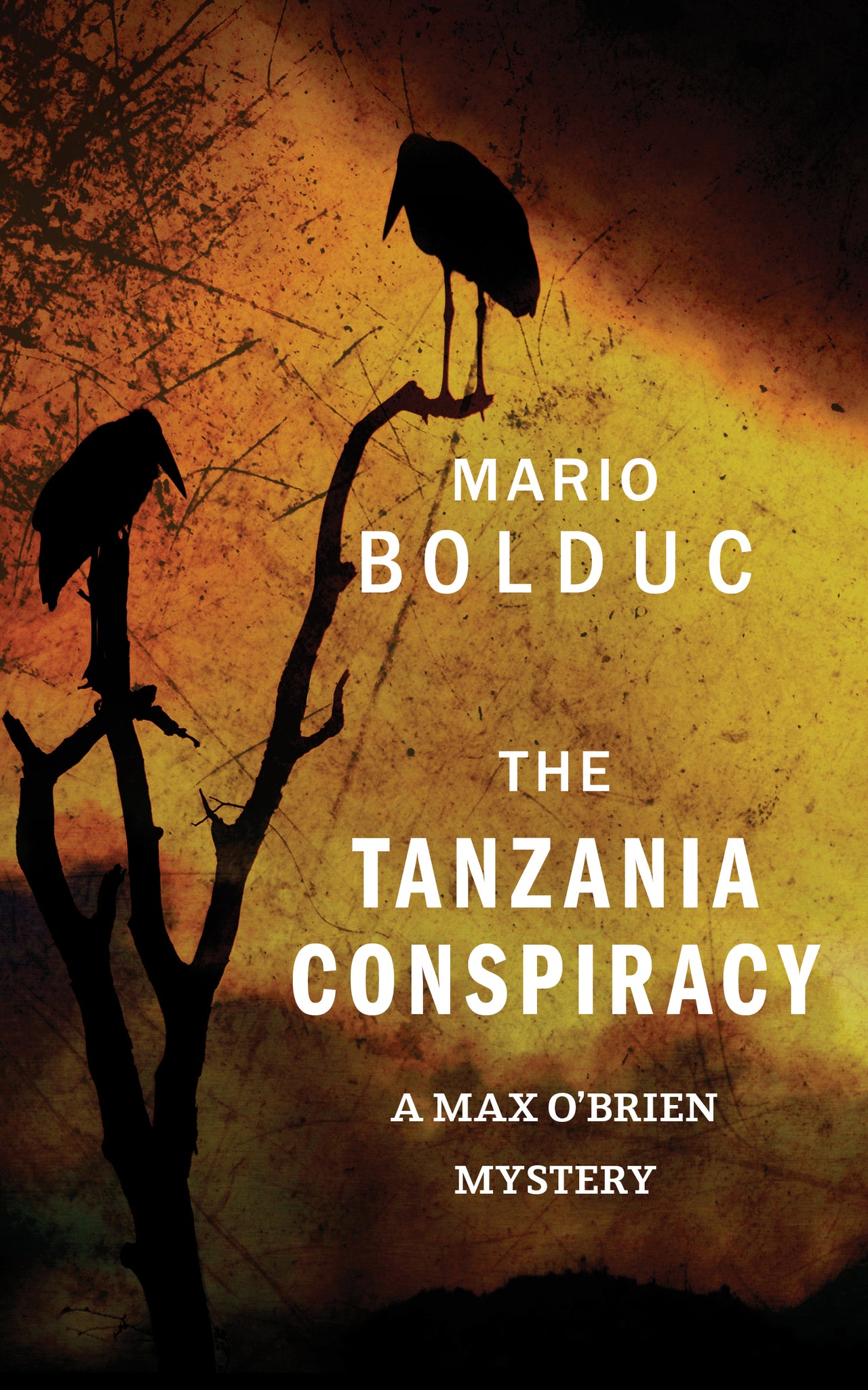 Cover image for The Tanzania Conspiracy ISBN 9781459736092