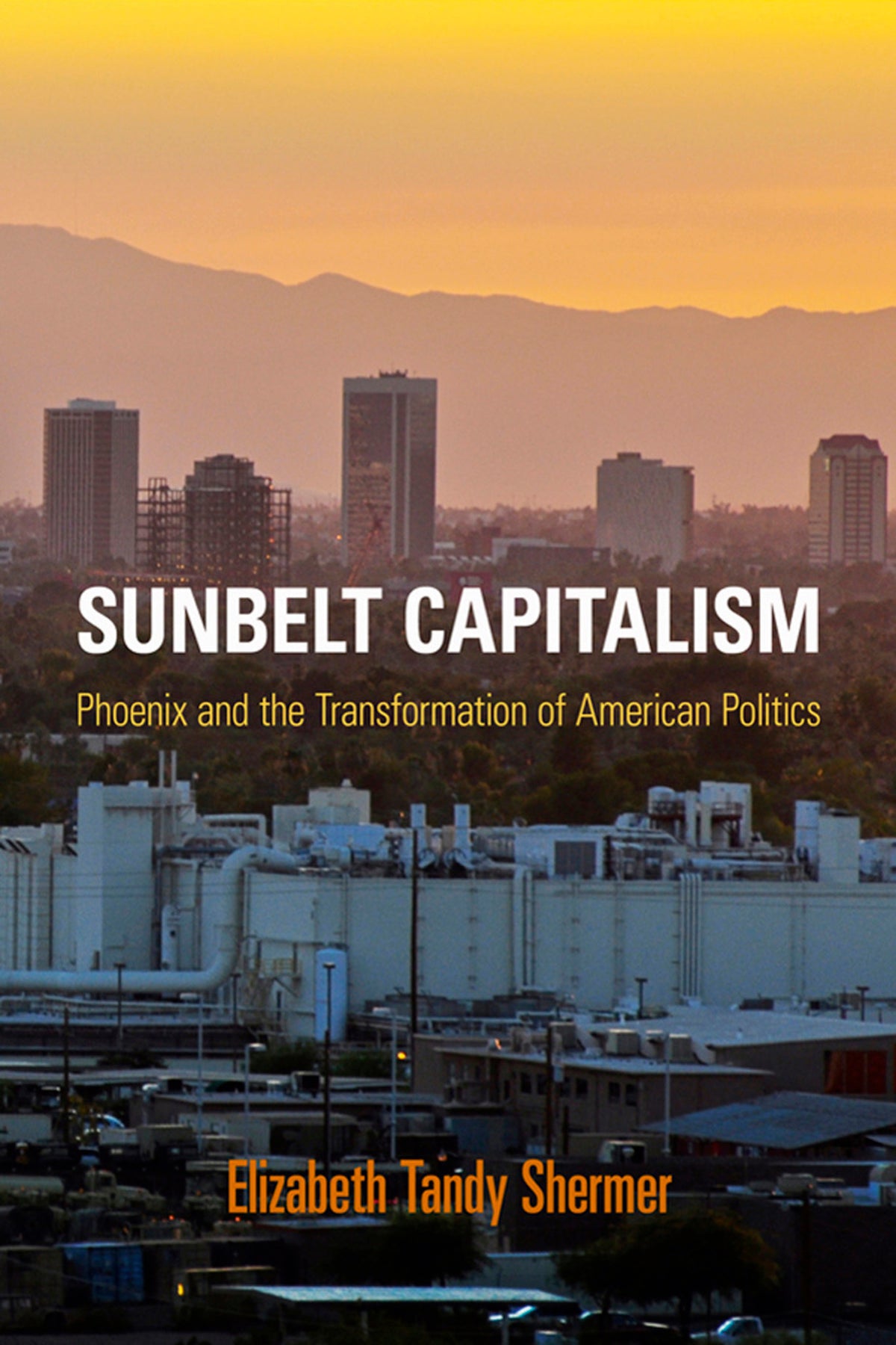 Cover image for Sunbelt Capitalism ISBN 9780812207606