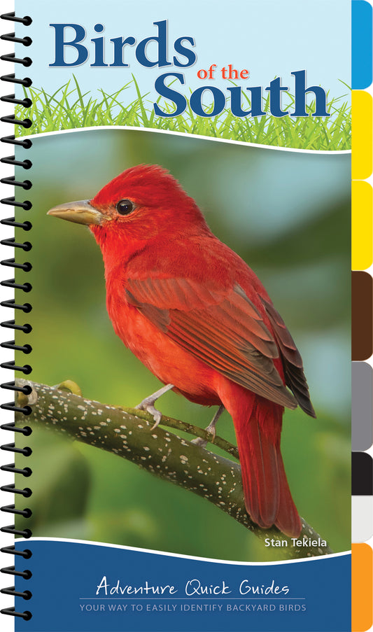 Birds of the South