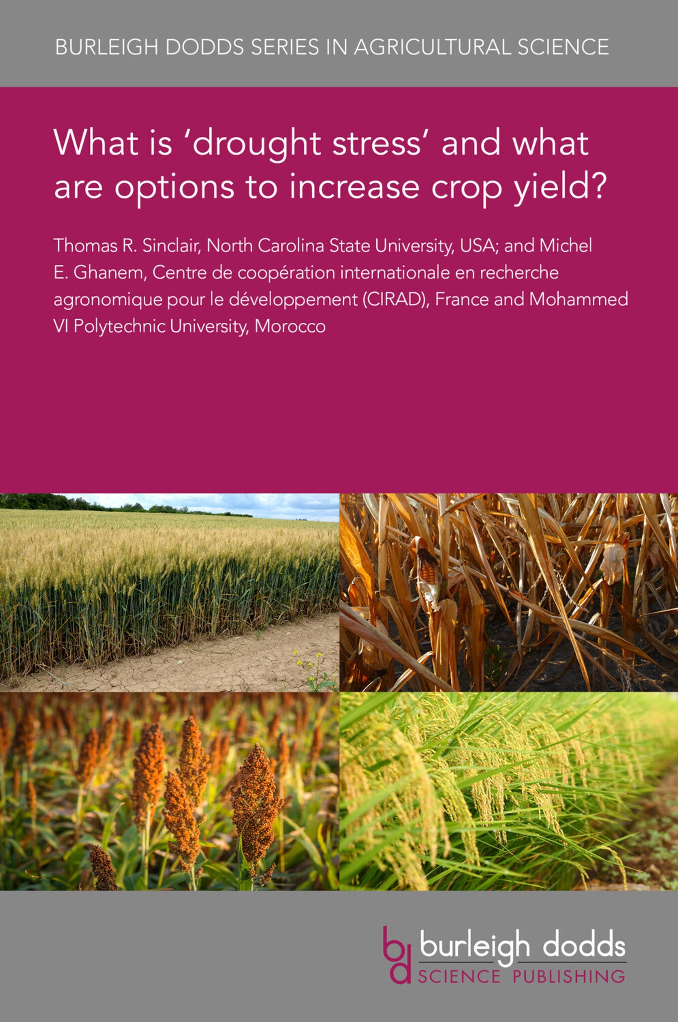 Cover image for What is ‘drought stress’ and what are options to increase crop yield? ISBN 9781801466806