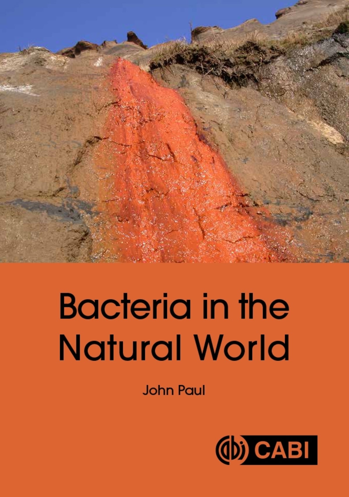 Cover image for Bacteria in the Natural World ISBN 9781836993902