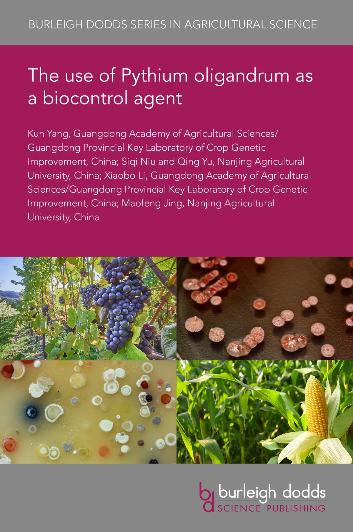 Cover image for The use of Pythium oligandrum as a biocontrol agent ISBN 9781835454589