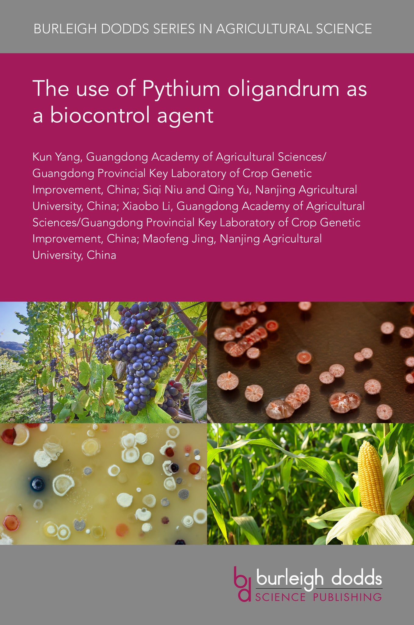 Cover image for The use of Pythium oligandrum as a biocontrol agent ISBN 9781835454589