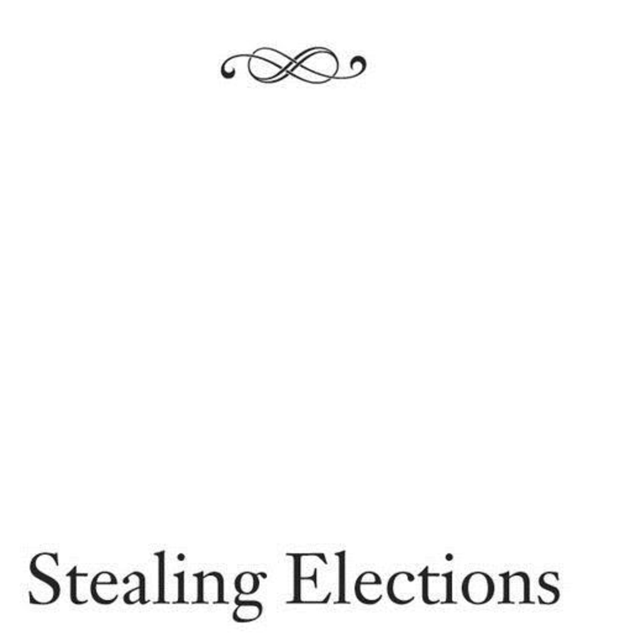 Cover image for Stealing Elections ISBN 9781594032240