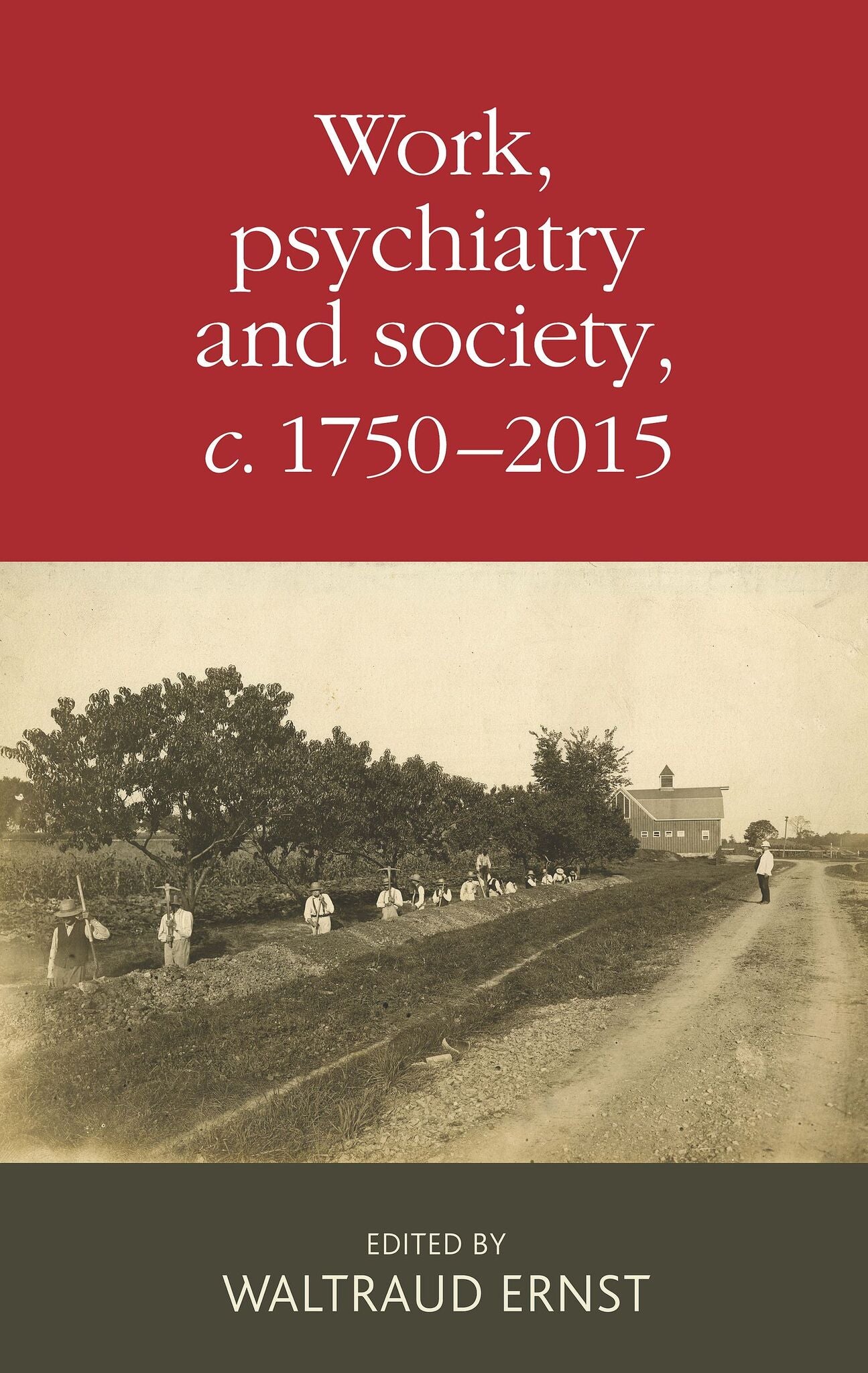 Cover image for Work, psychiatry and society, c. 1750–2015 ISBN 9781526127099