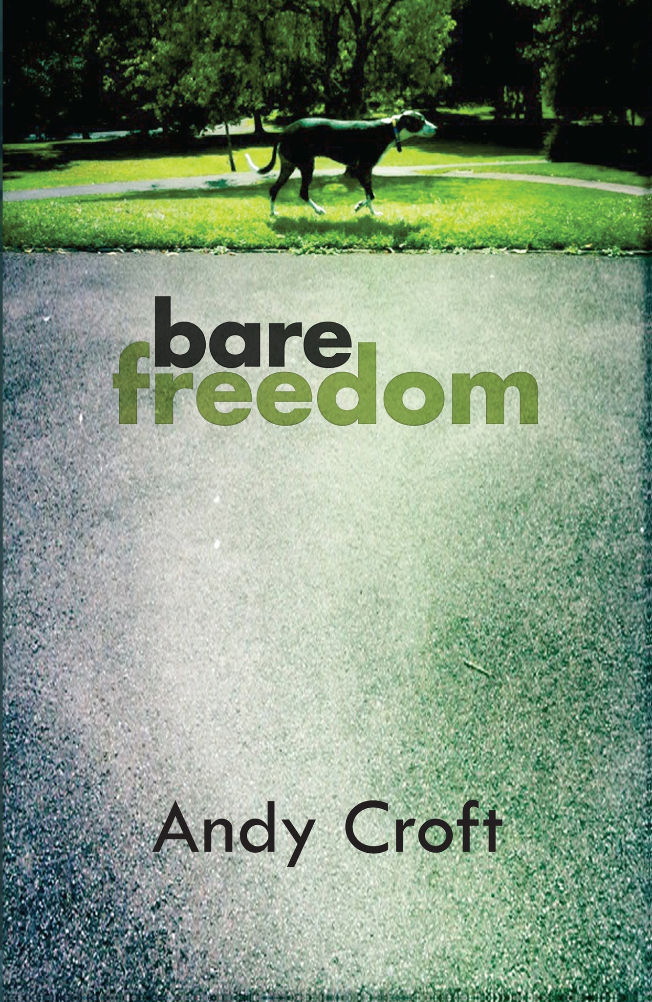 Cover image for Bare Freedom ISBN 9781908713032