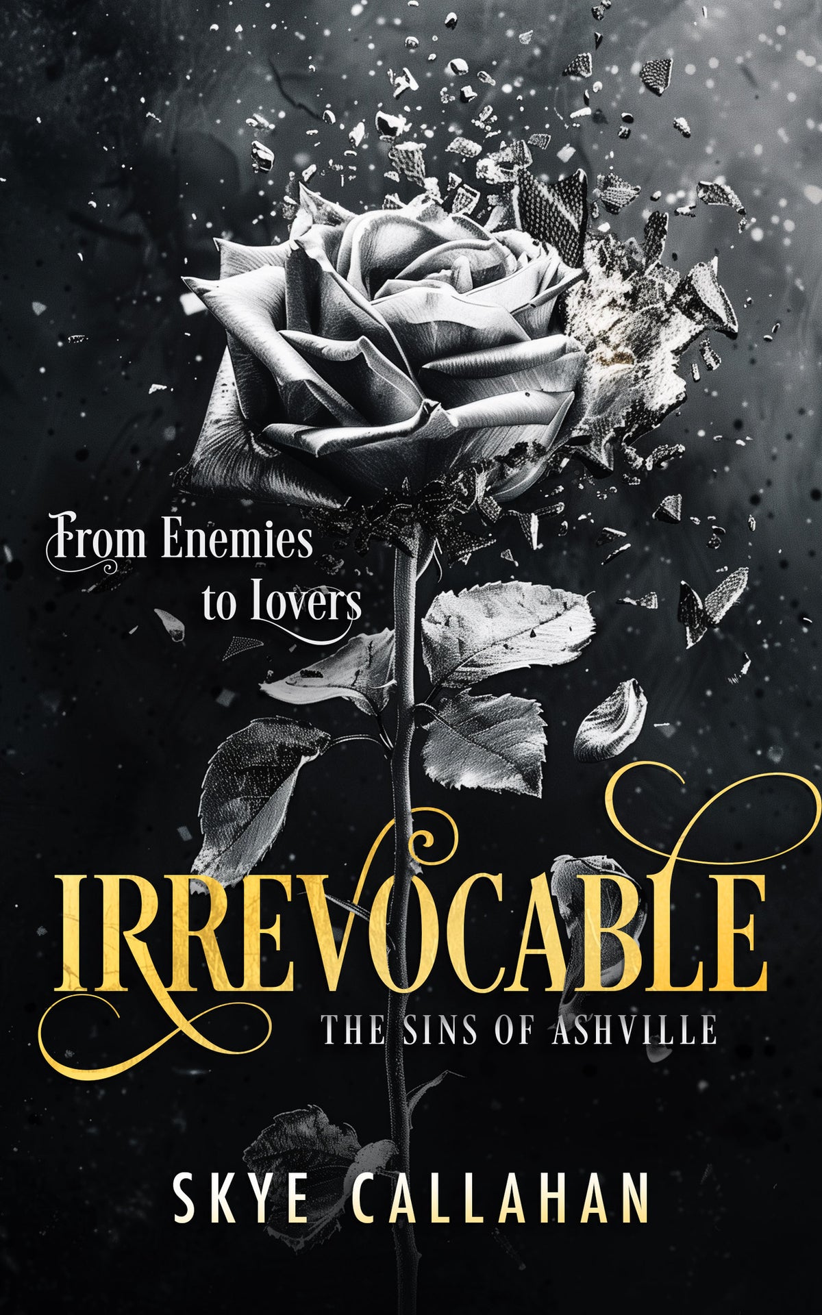Cover image for Irrevocable ISBN 9781036701796