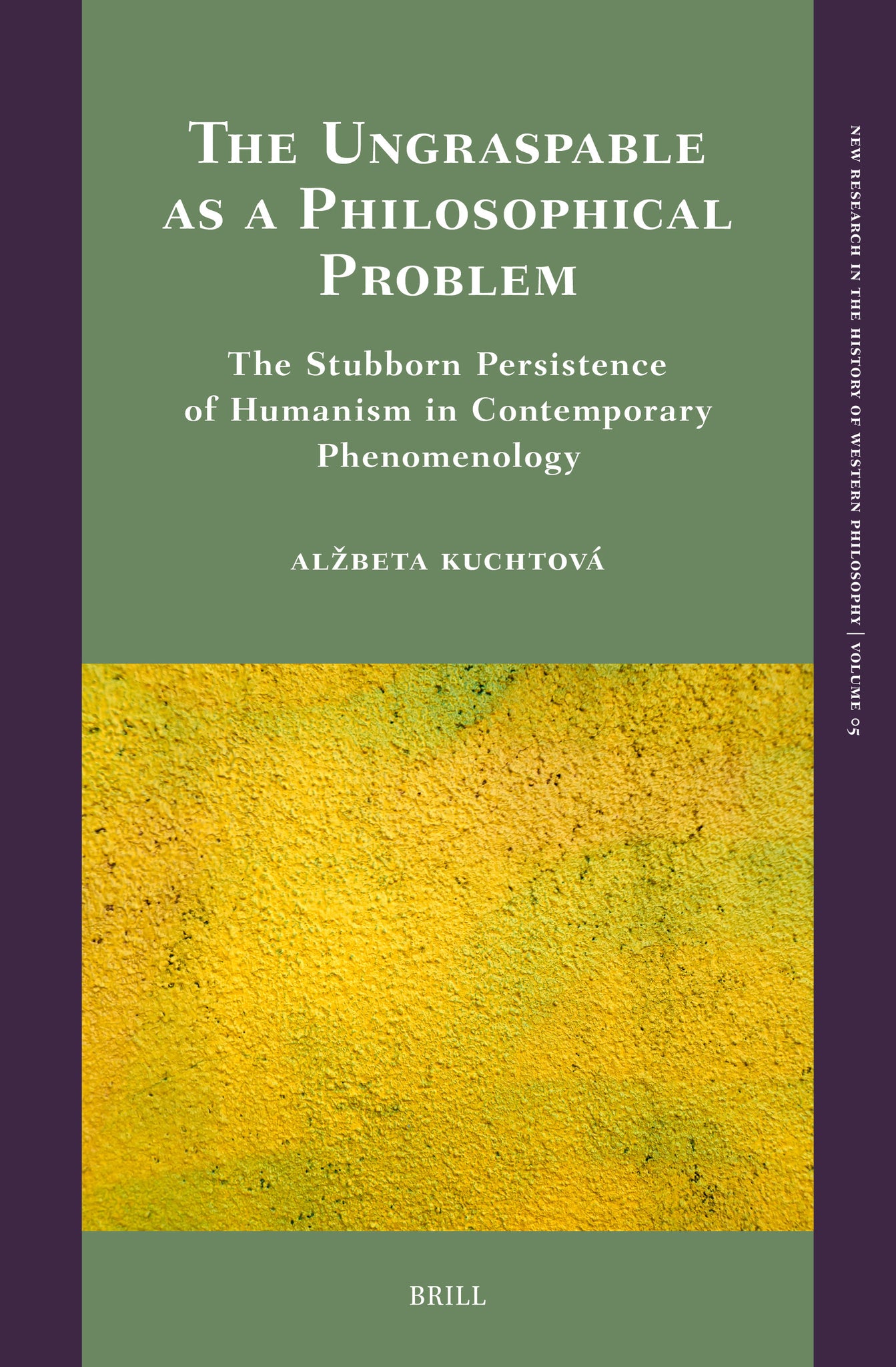Cover image for The Ungraspable as a Philosophical Problem ISBN 9789004701090