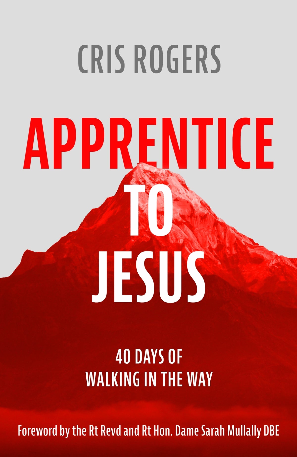 Cover image for Apprentice to Jesus ISBN 9780281079988