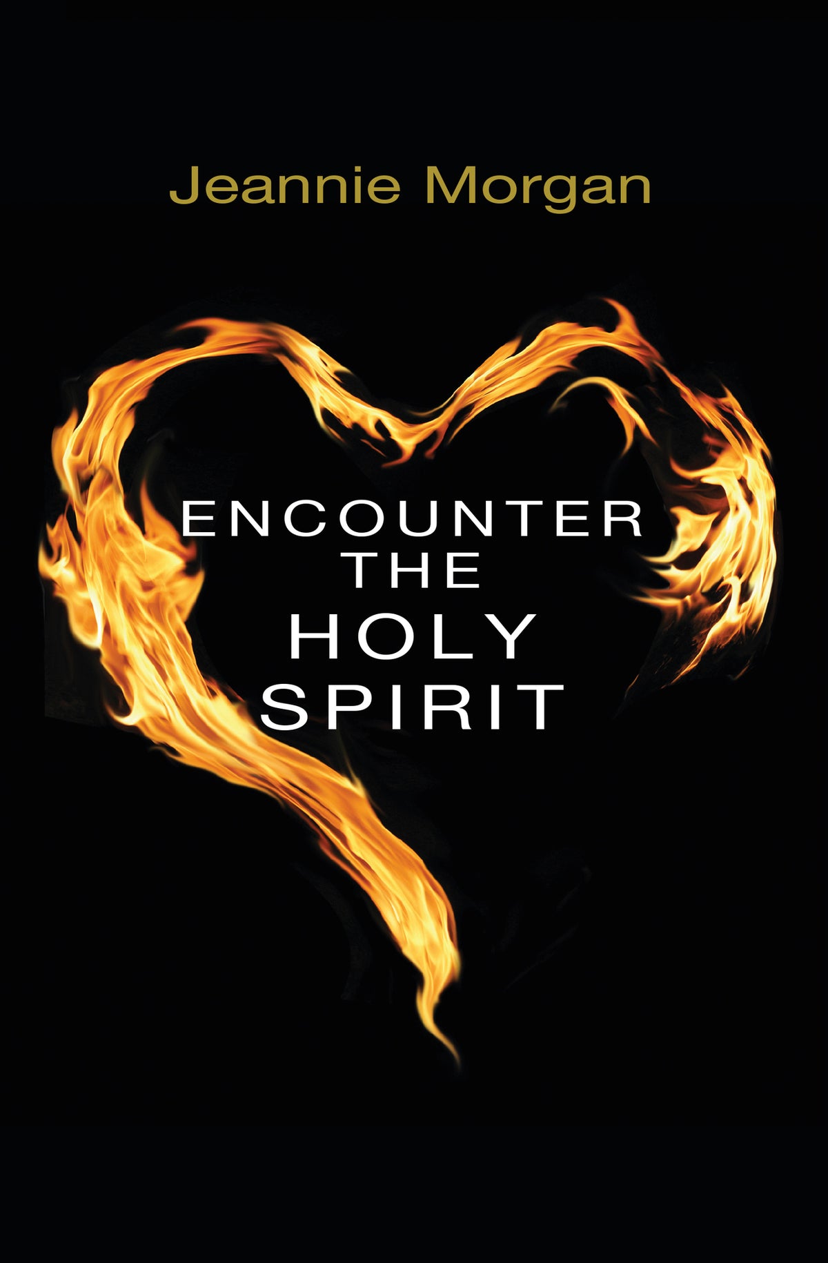 Cover image for Encounter the Holy Spirit ISBN 9780857211682