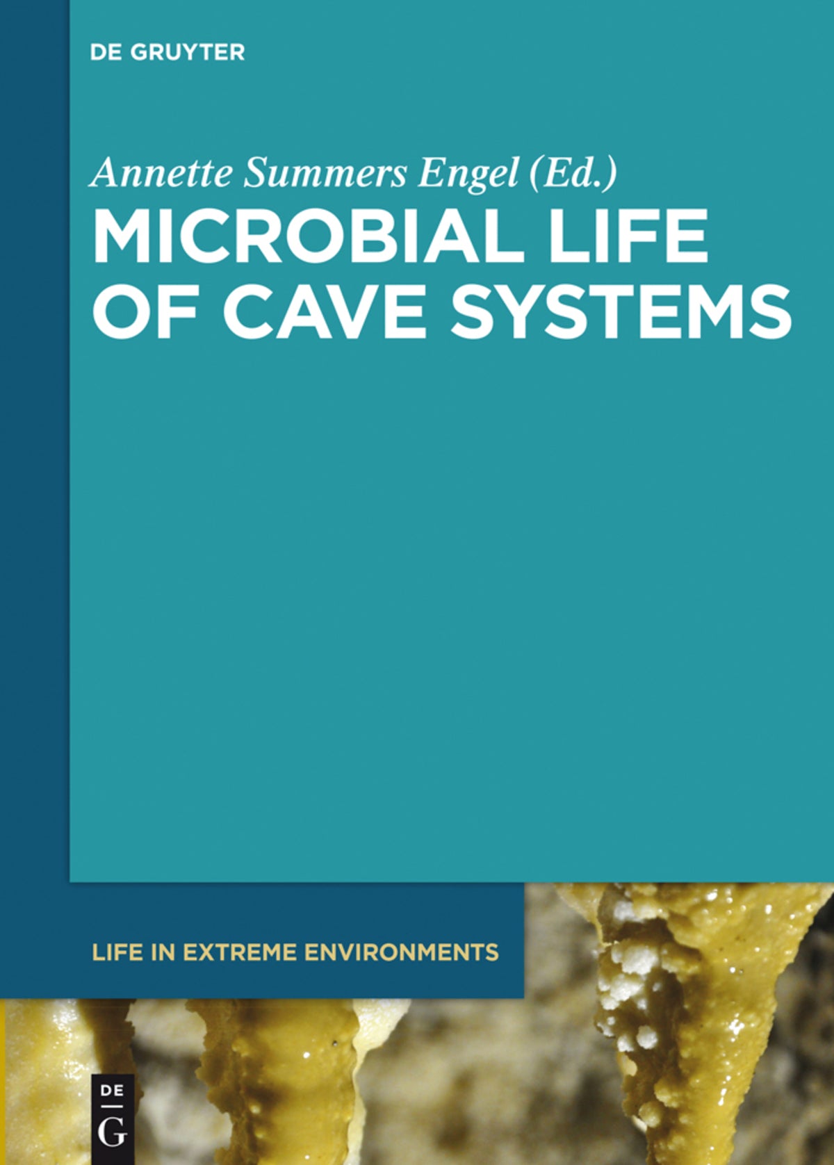Cover image for Microbial Life of Cave Systems ISBN 9783110334999