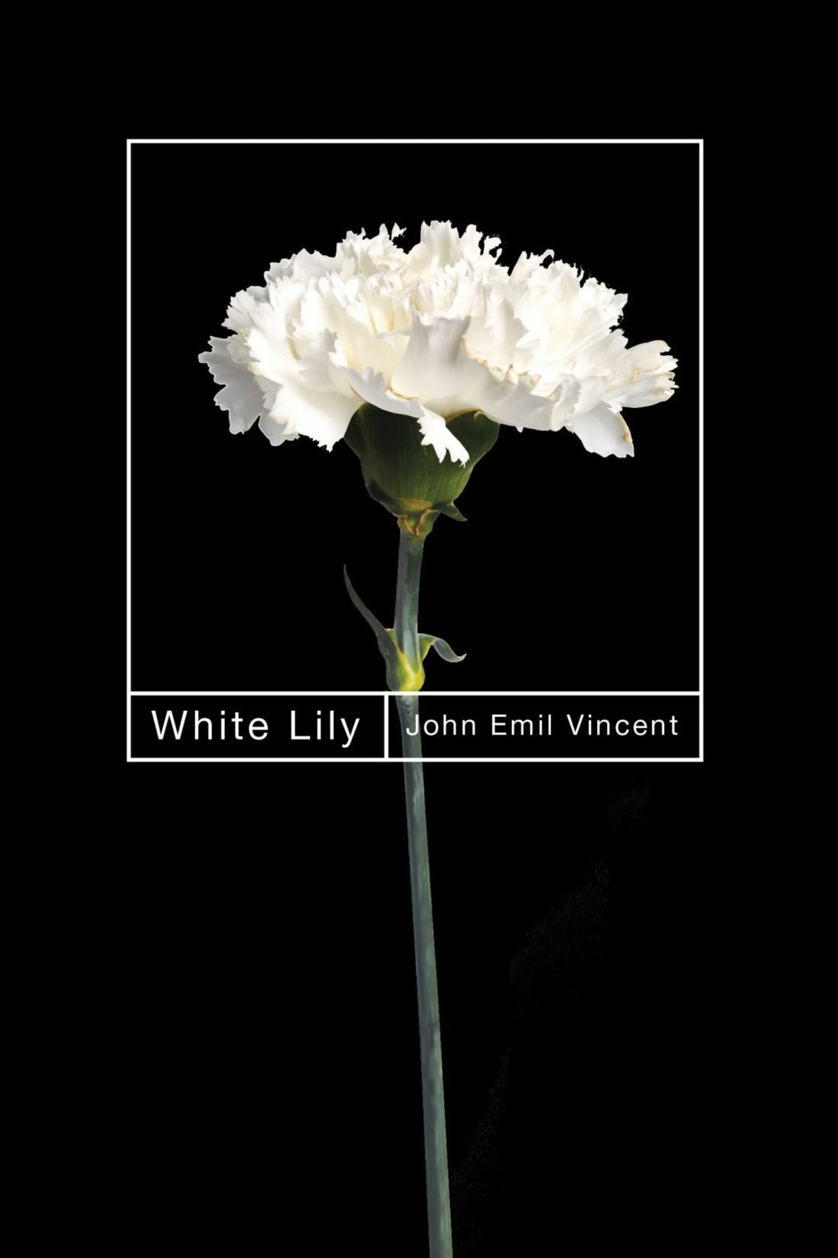Cover image for White Lily ISBN 9780228023777