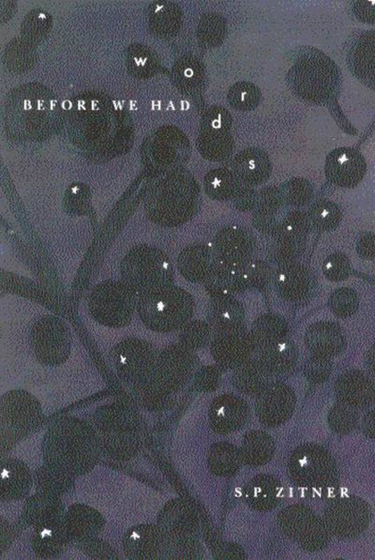 Before We Had Words