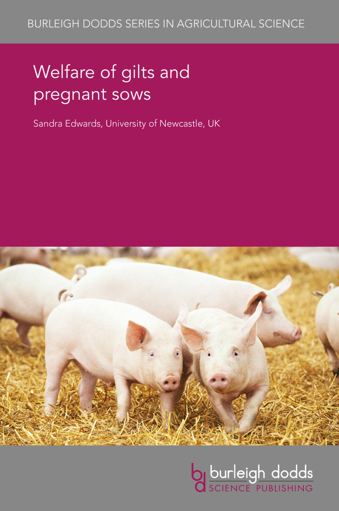 Cover image for Welfare of gilts and pregnant sows ISBN 9781838795207