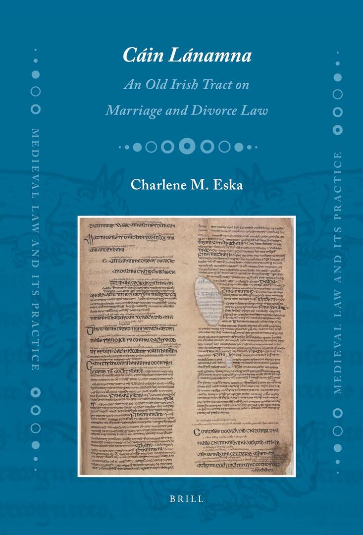 Cover image for Cáin Lánamna ISBN 9789004179059