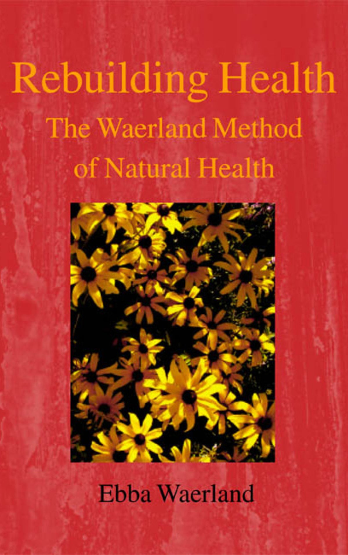 Cover image for Rebuilding Health ISBN 9780718891299