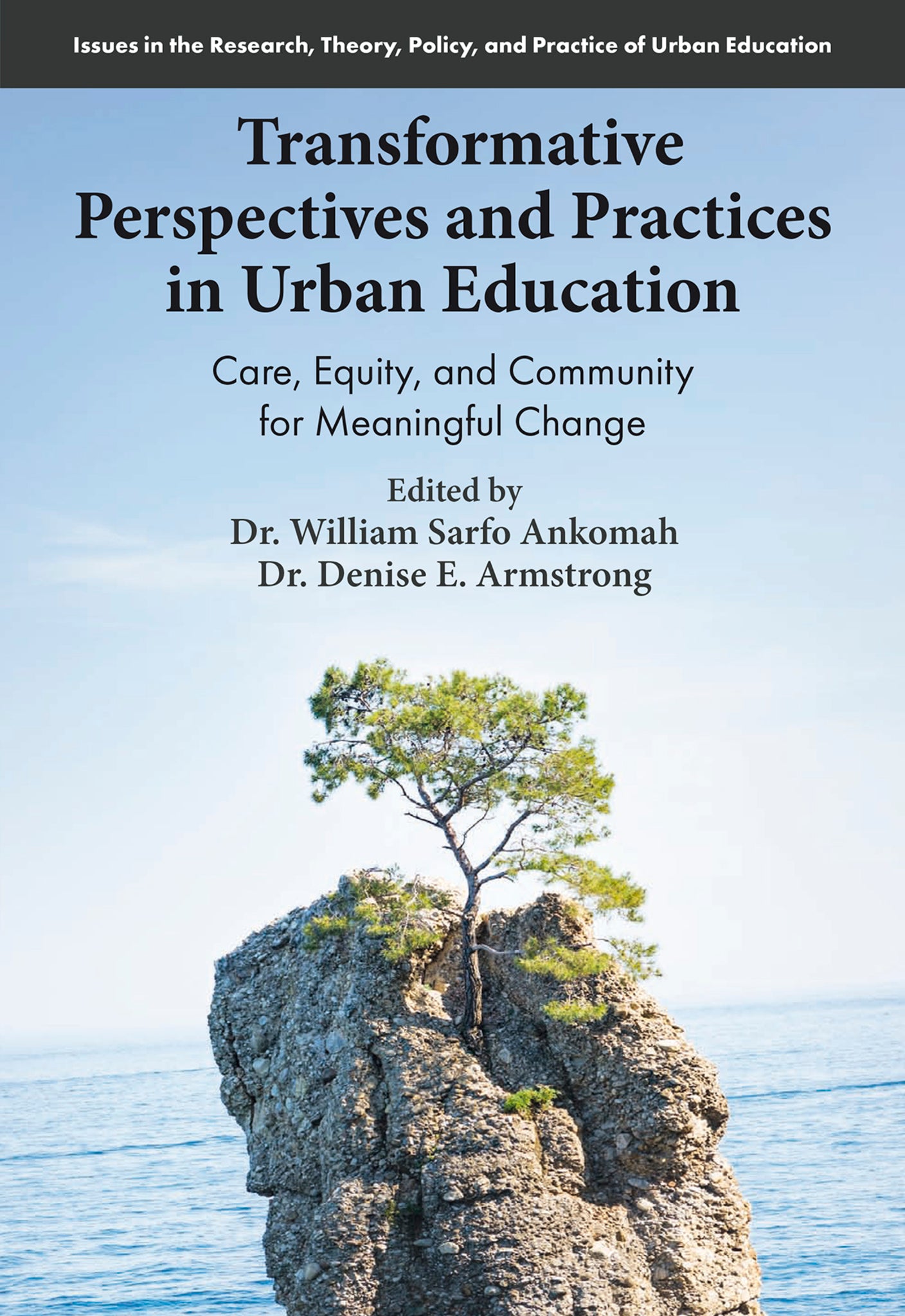 Transformative Perspectives and Practices in Urban Education