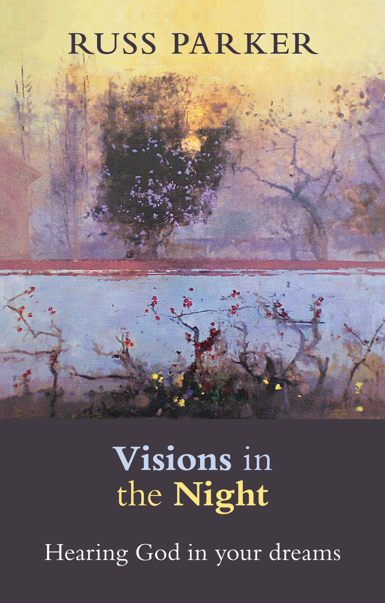 Cover image for Visions in the Night ISBN 9780281070831