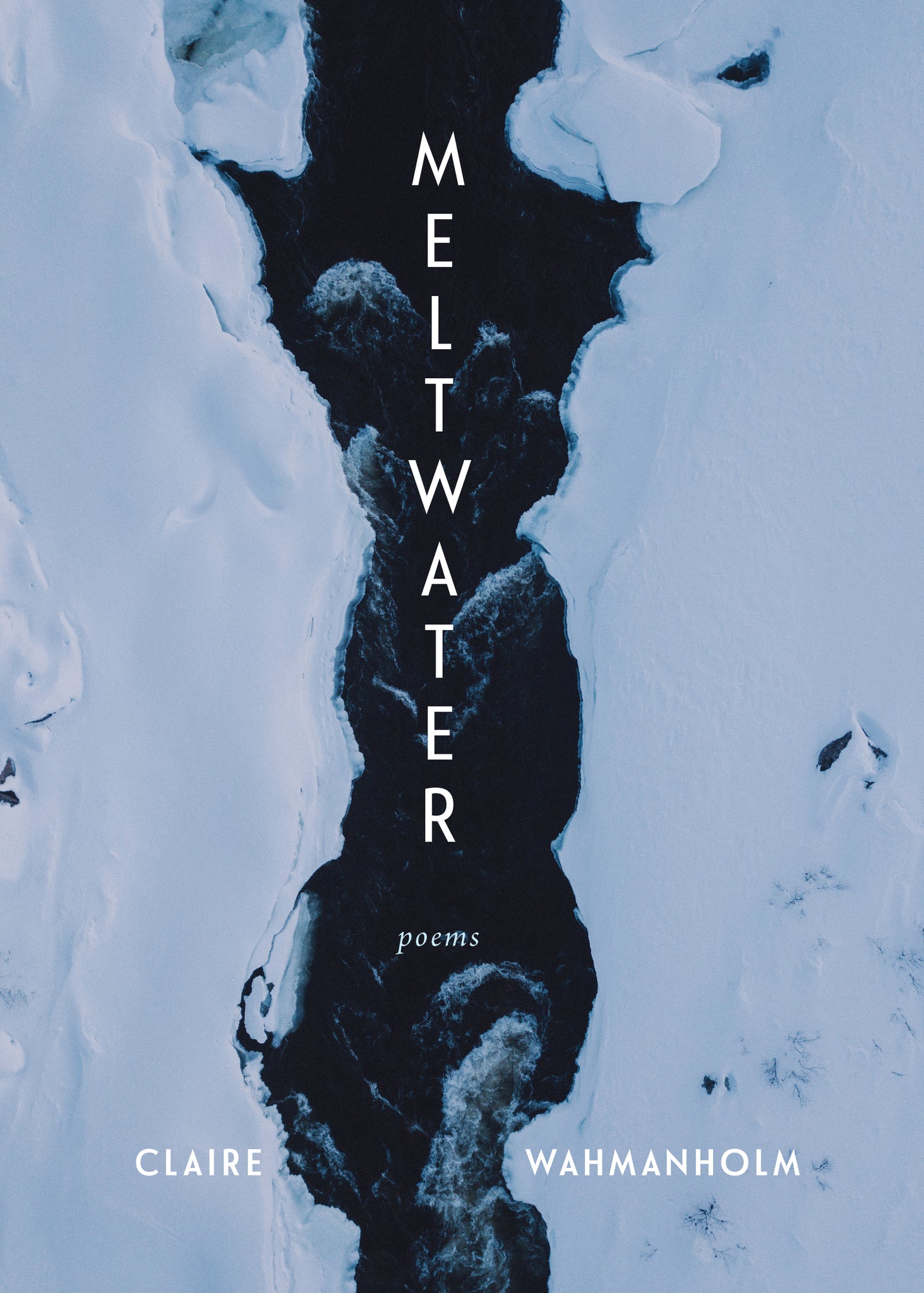 Cover image for Meltwater ISBN 9781639551019
