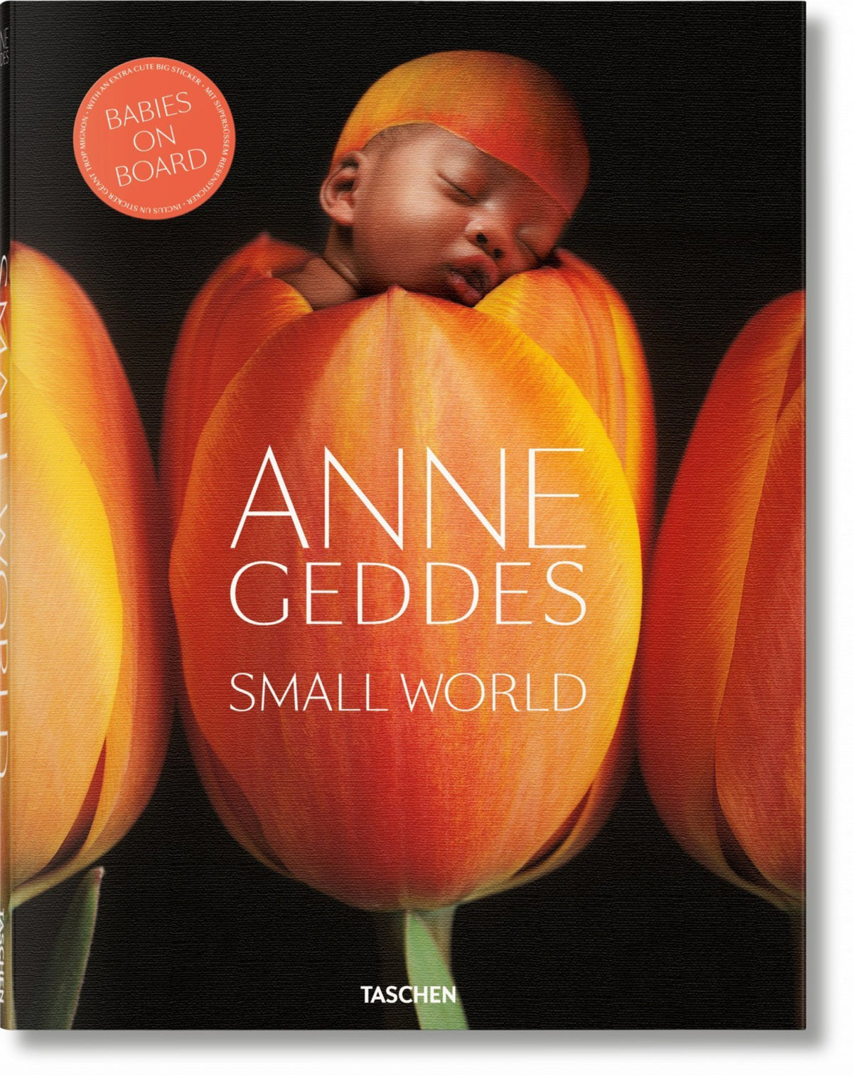 Cover image for Anne Geddes. Small World ISBN 9783836519472