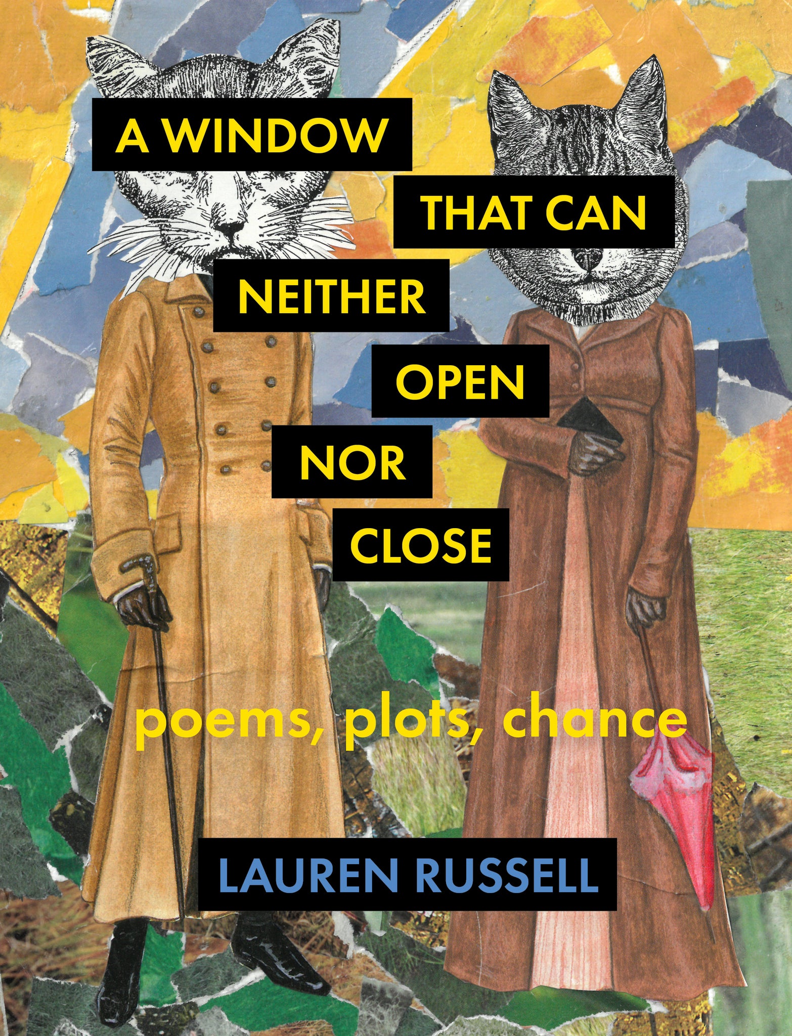 Cover image for A Window That Can Neither Open Nor Close ISBN 9781571315670