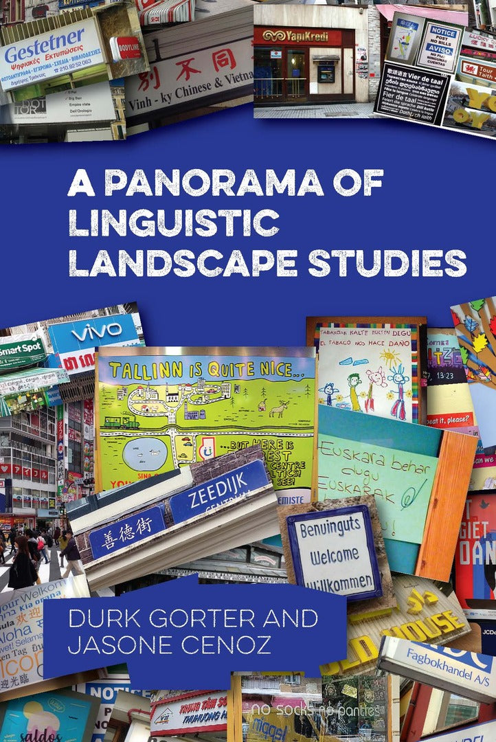 Cover image for A Panorama of Linguistic Landscape Studies ISBN 9781800417137