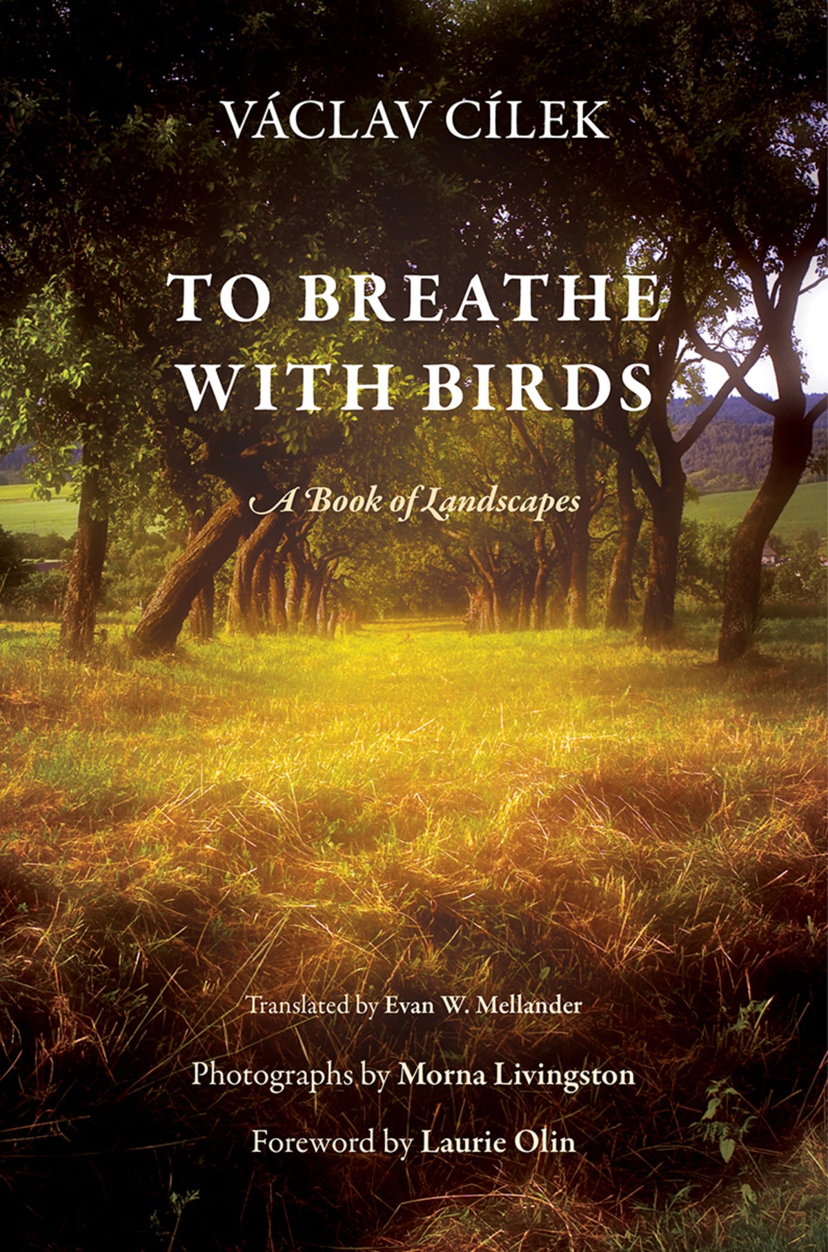 Cover image for To Breathe with Birds ISBN 9780812246810