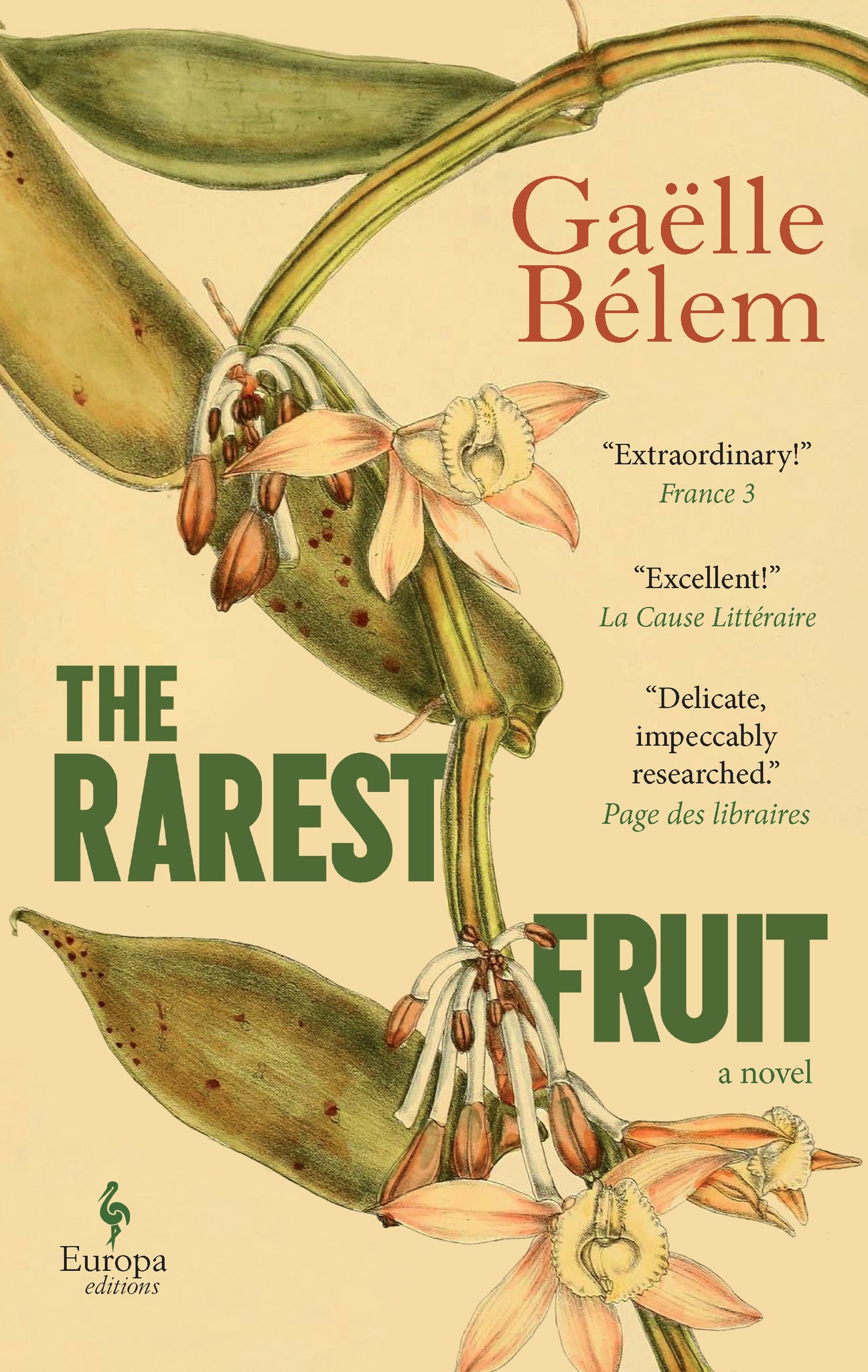 Cover image for The Rarest Fruit ISBN 9798889660996