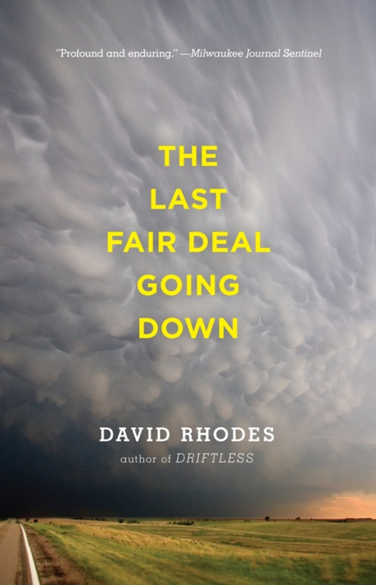 Cover image for The Last Fair Deal Going Down ISBN 9781571310767