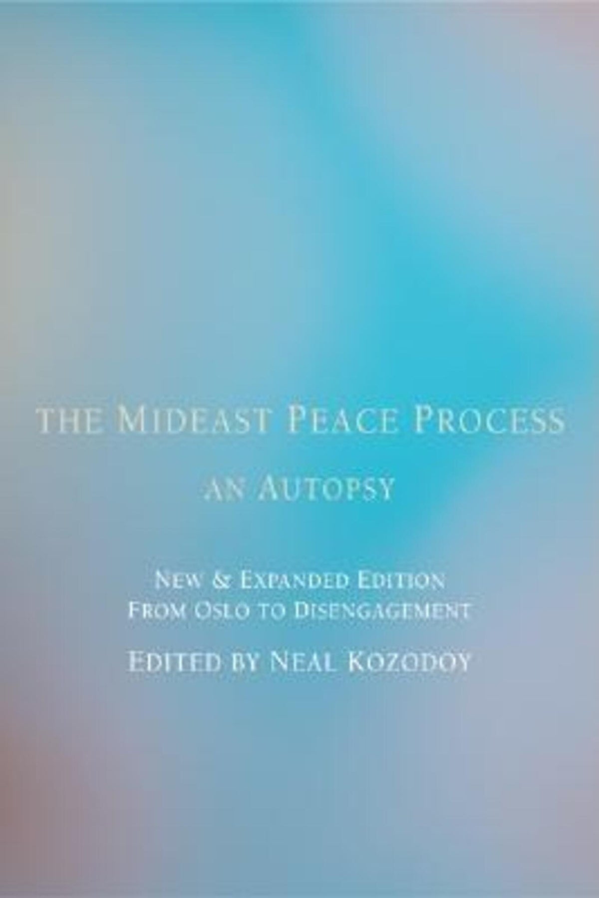 Cover image for The Mideast Peace Process ISBN 9781594031915