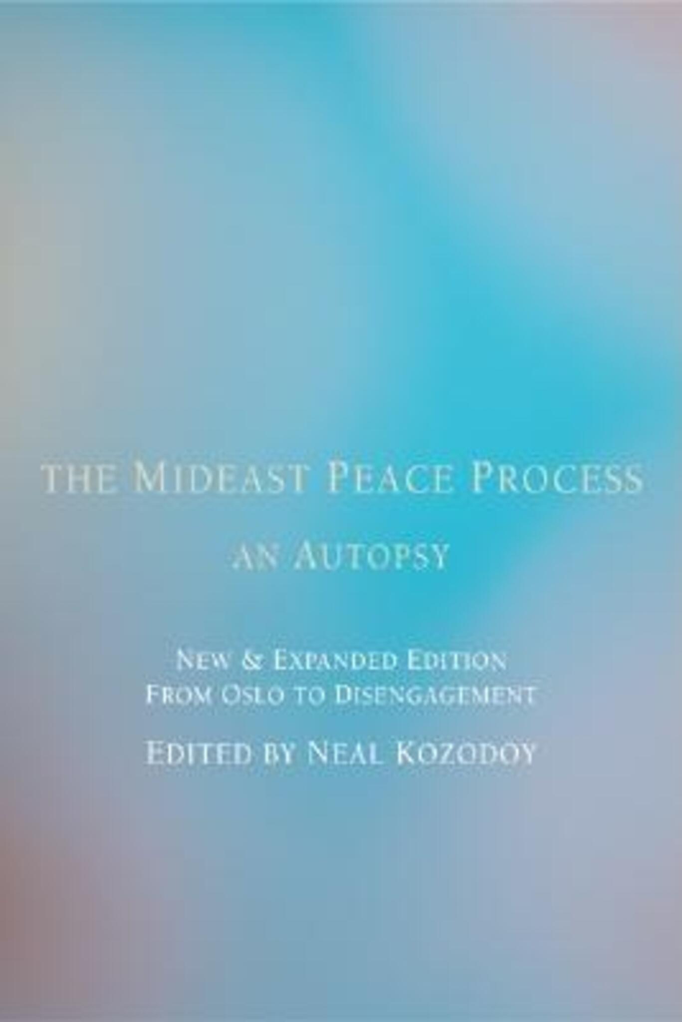 Cover image for The Mideast Peace Process ISBN 9781594031915