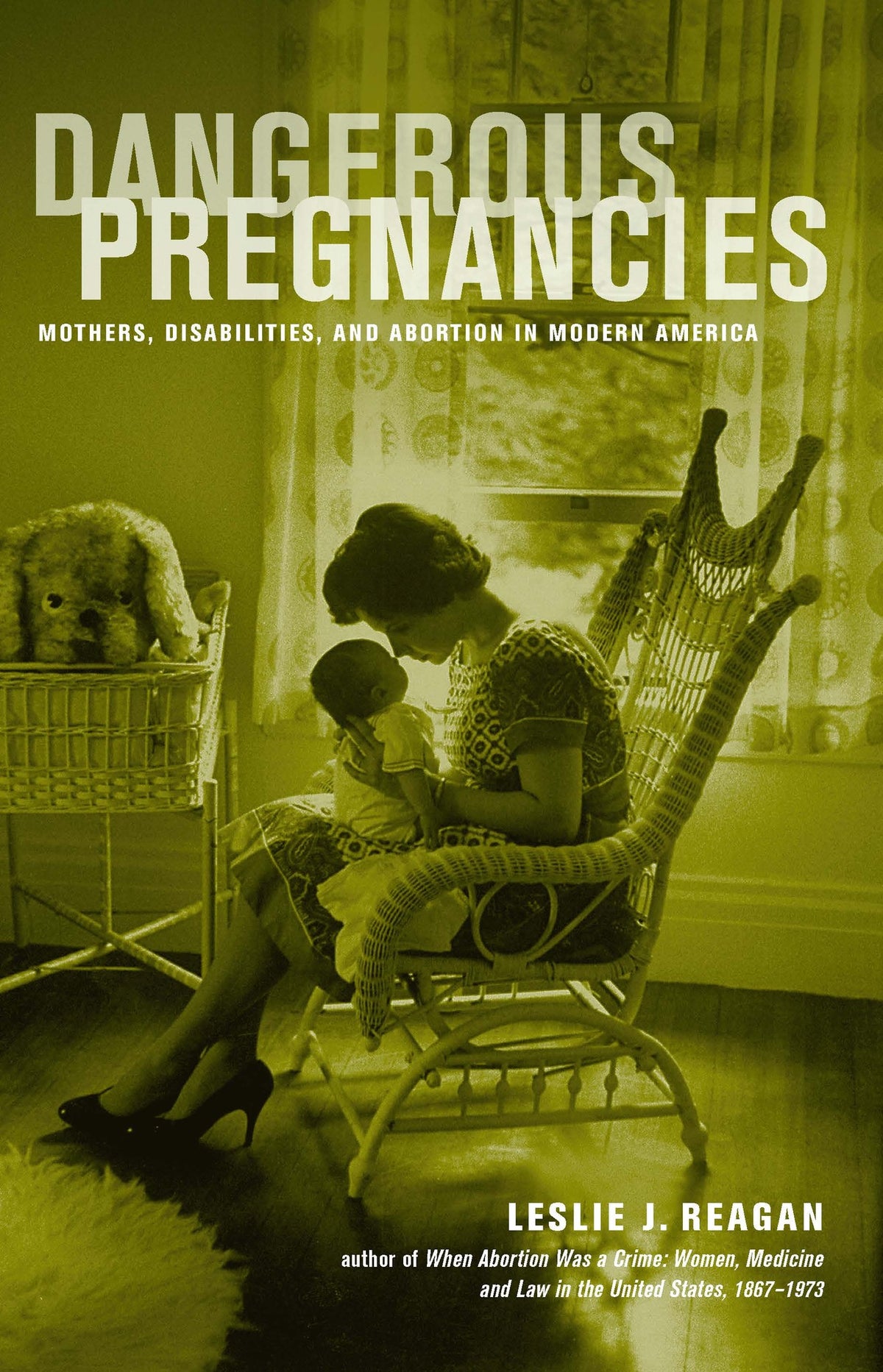 Cover image for Dangerous Pregnancies ISBN 9780520945005
