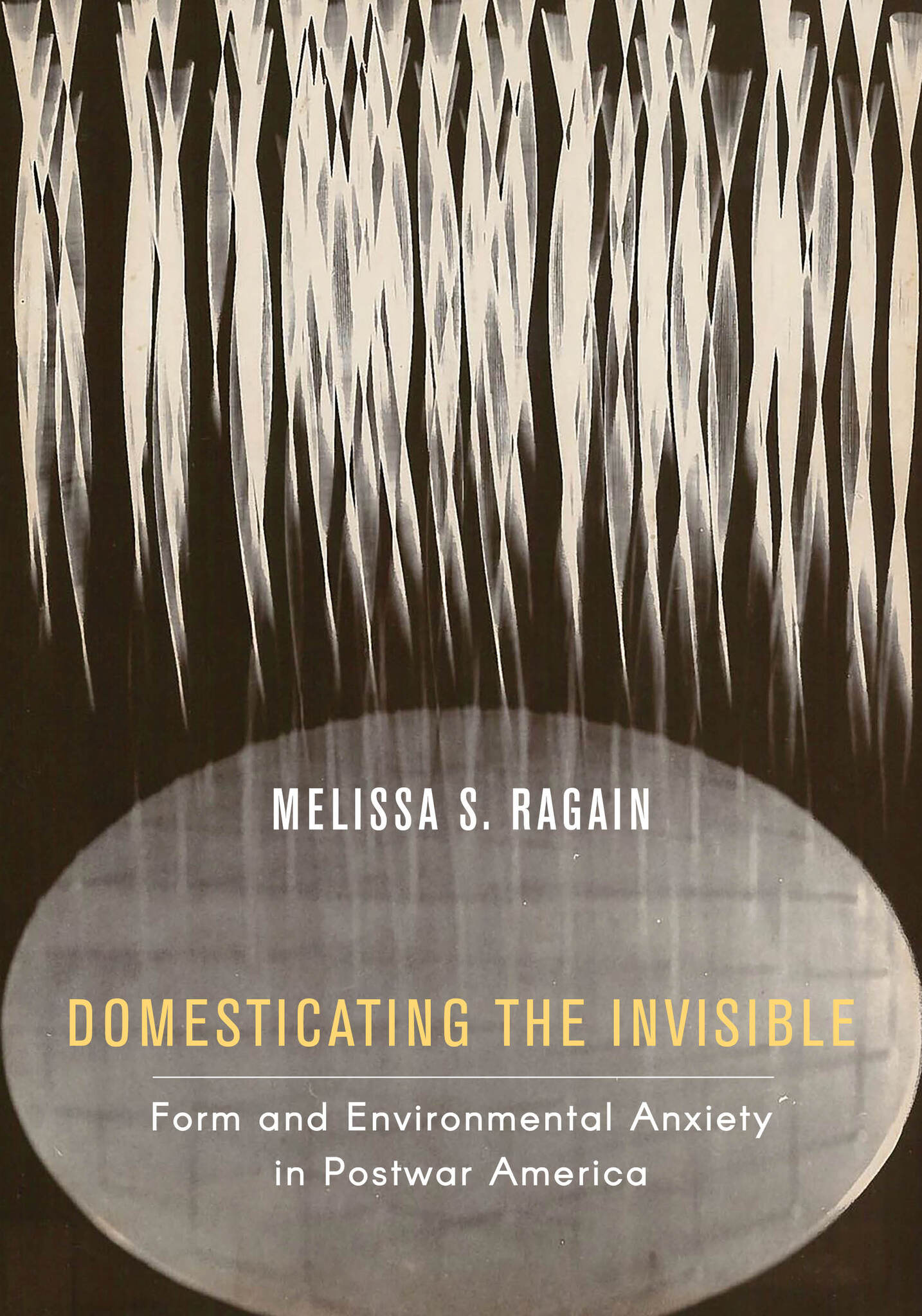 Domesticating the Invisible
