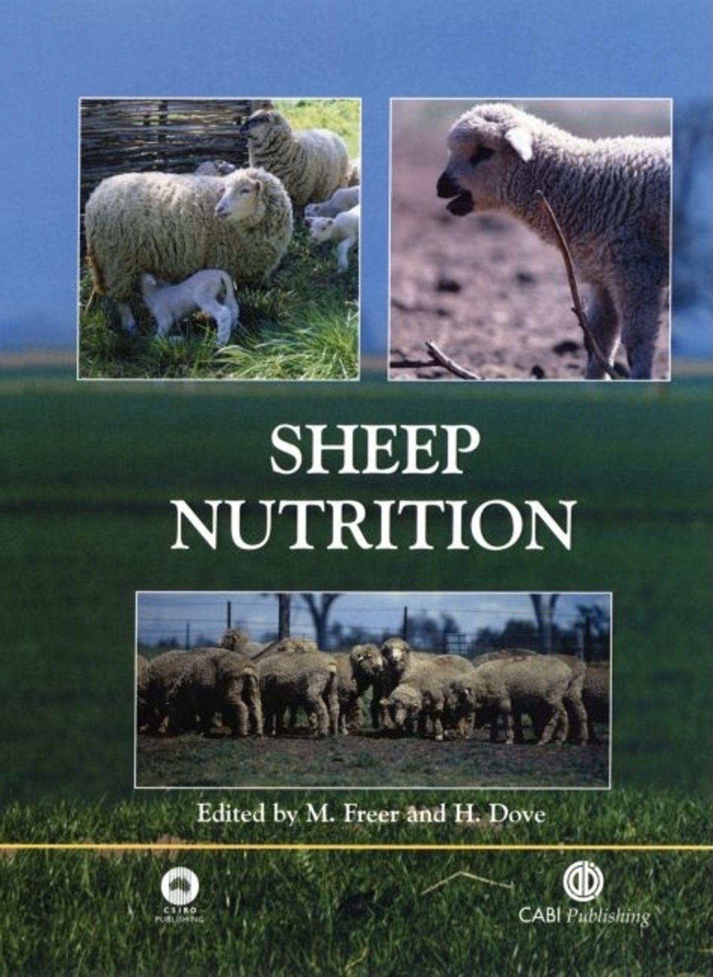 Sheep Nutrition