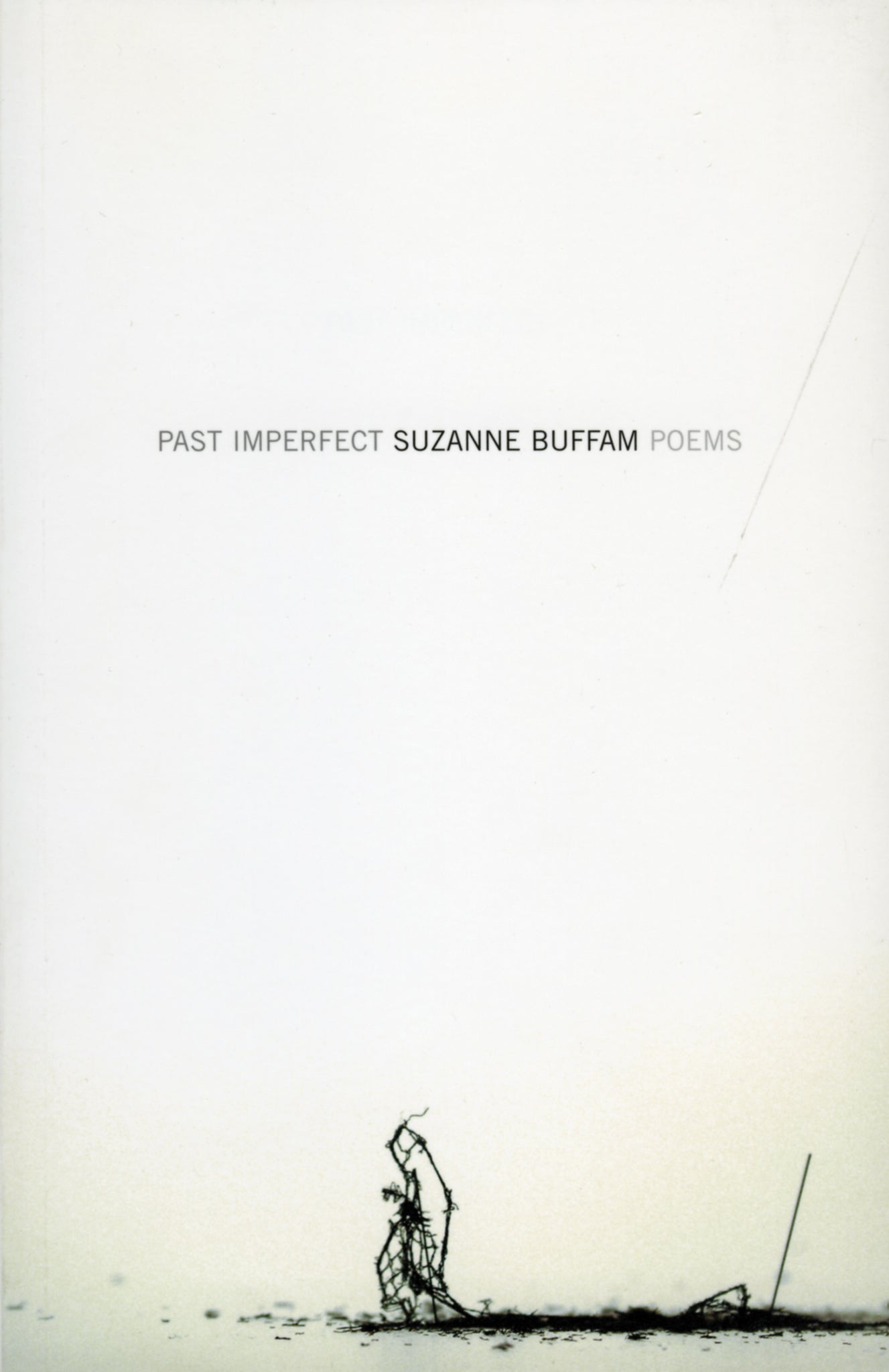 Cover image for Past Imperfect ISBN 9780887847264
