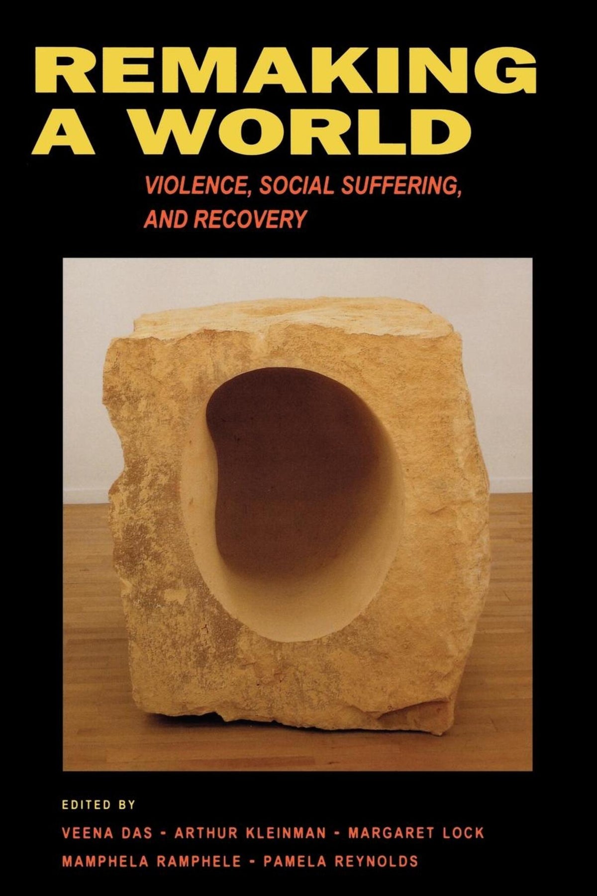 Cover image for Remaking a World ISBN 9780520223301